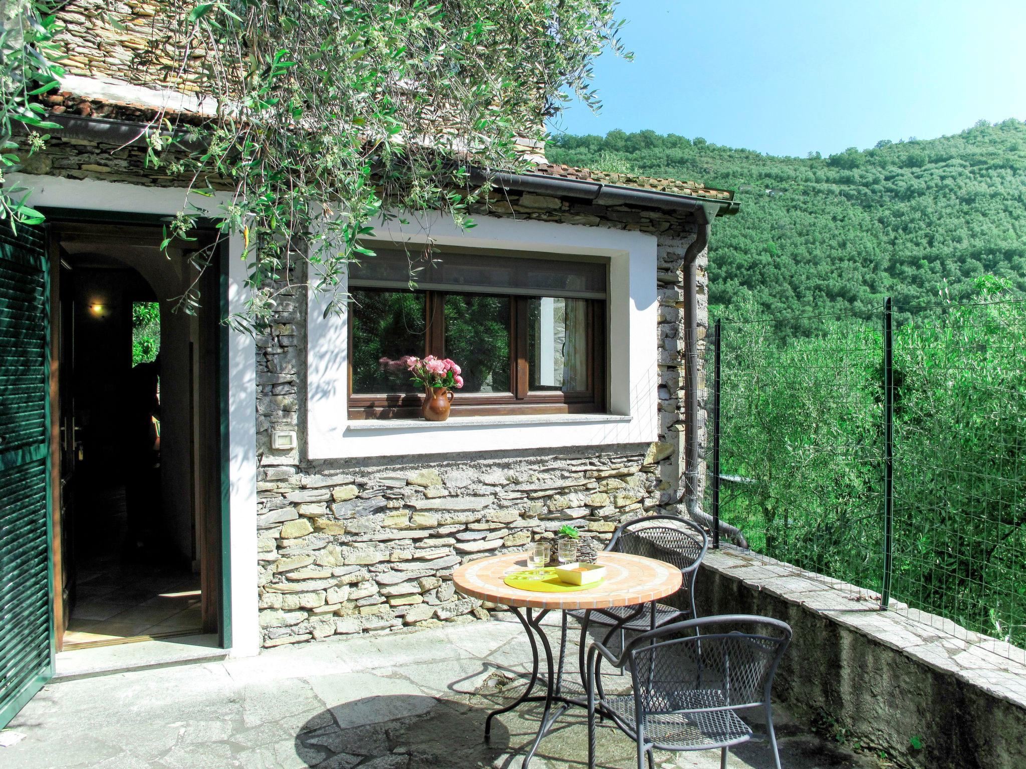 Photo 2 - Appartement en Dolcedo avec piscine et jardin