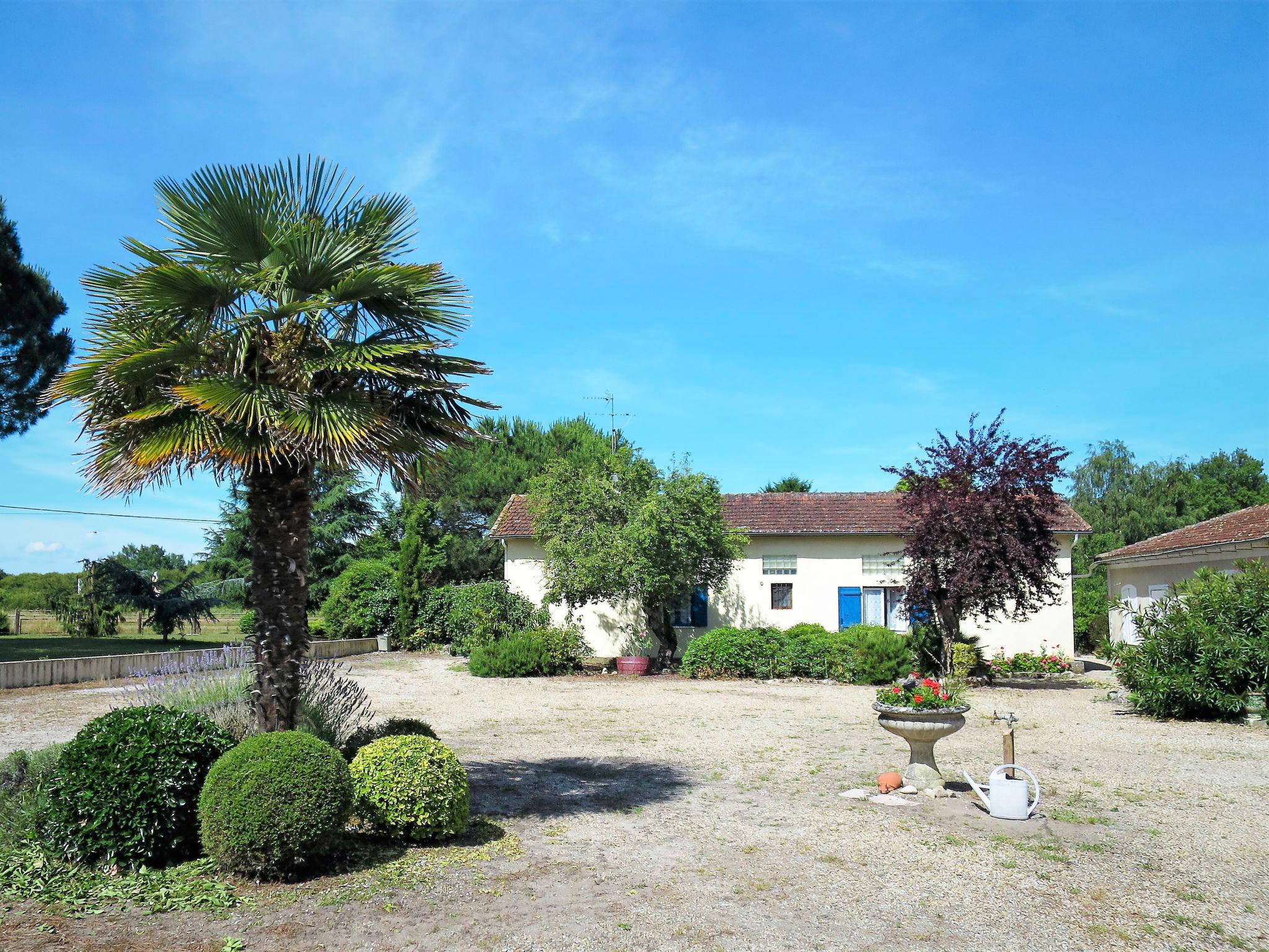 Photo 20 - Maison de 2 chambres à Jau-Dignac-et-Loirac avec jardin