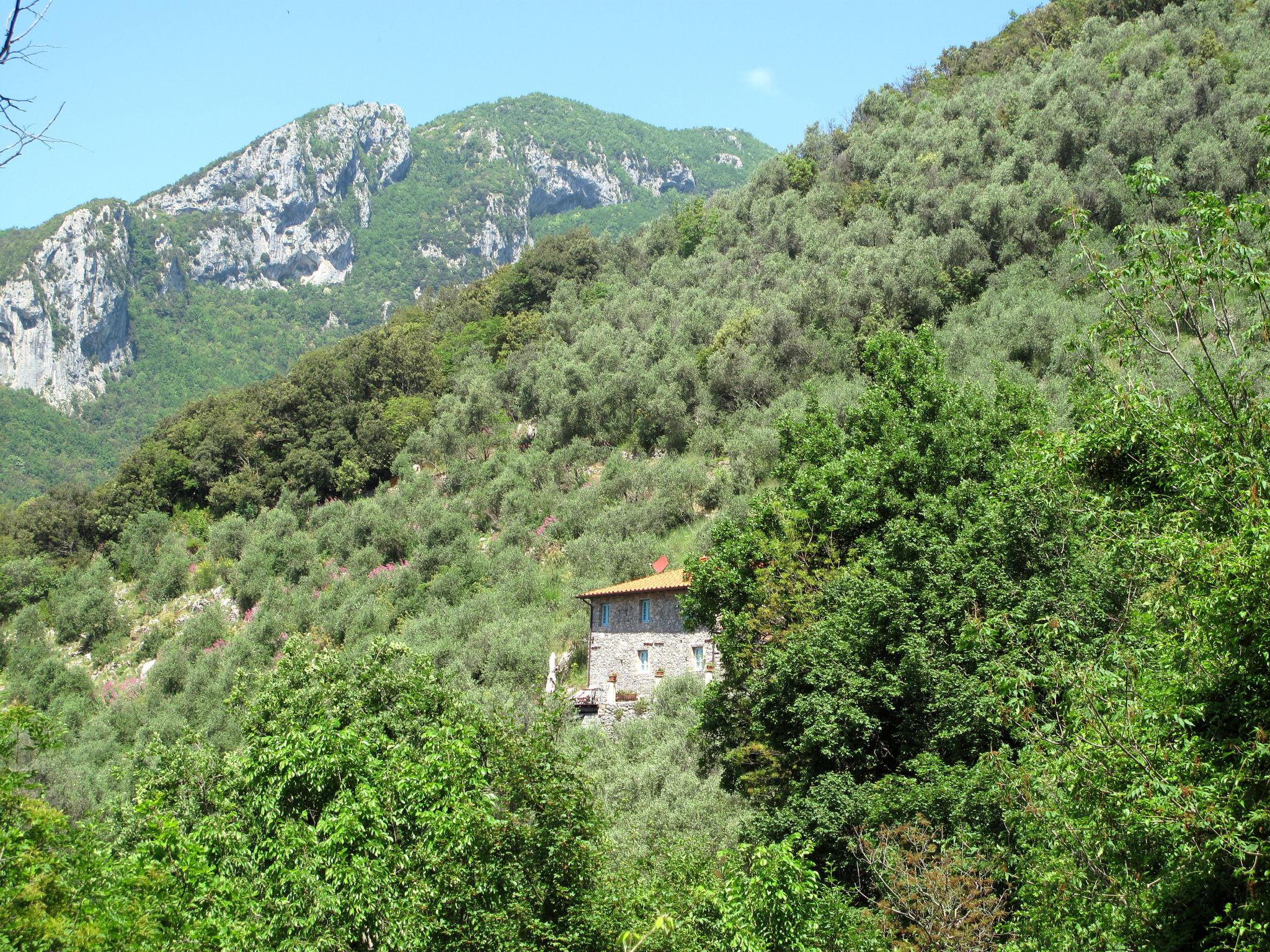 Photo 26 - Maison de 2 chambres à Camaiore avec piscine privée et jardin