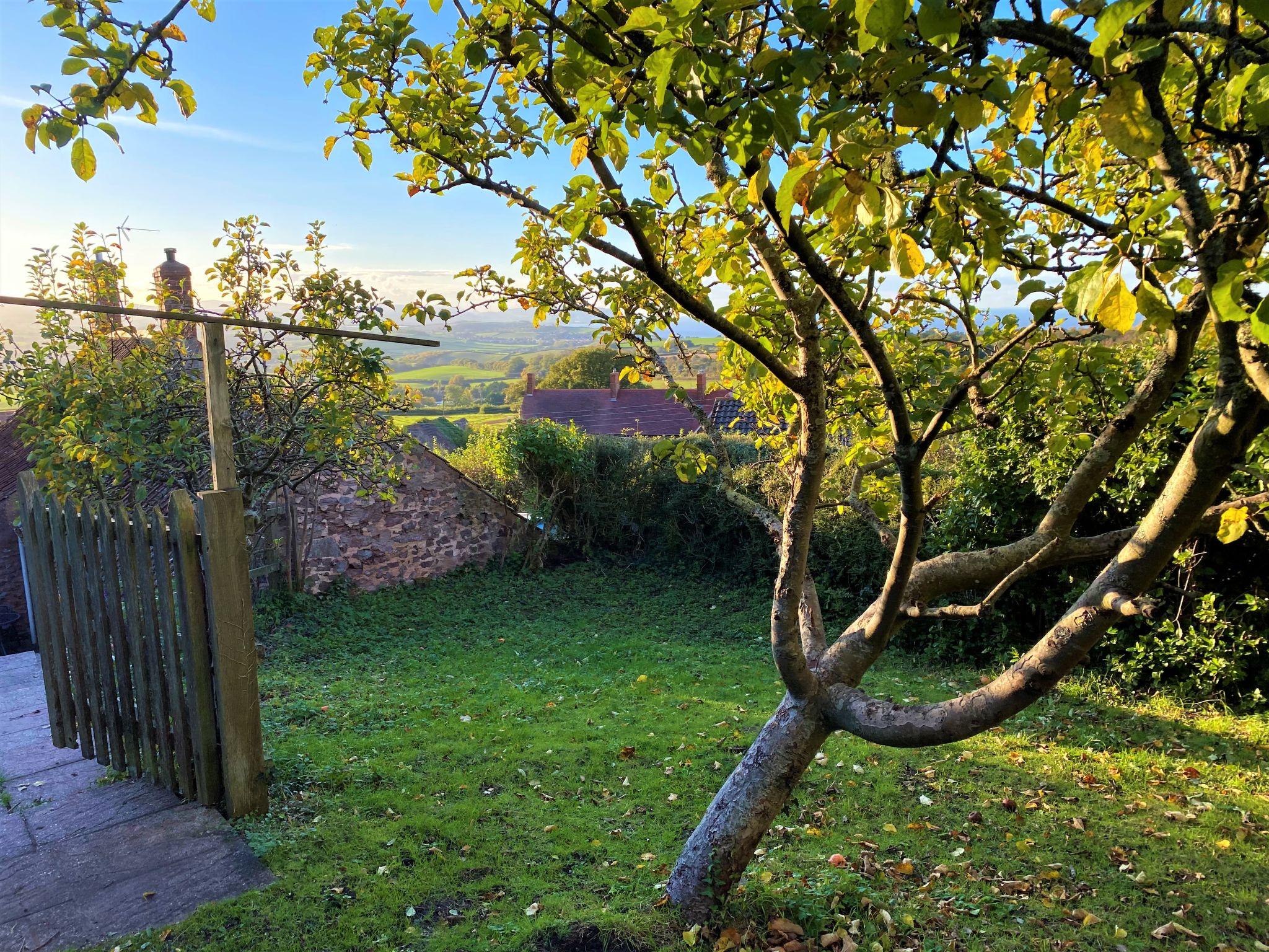 Photo 22 - 2 bedroom House in Taunton with garden