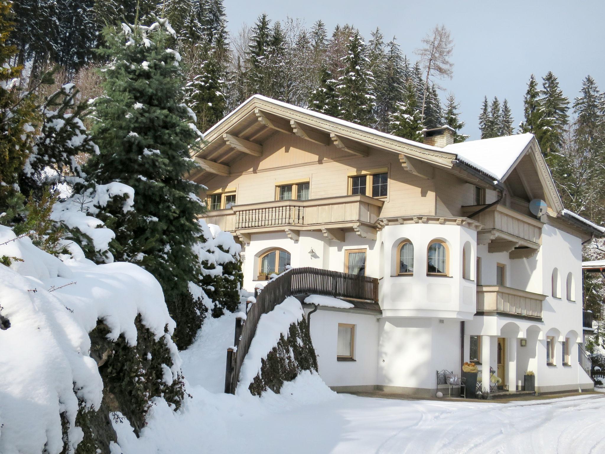 Photo 10 - Appartement de 2 chambres à Fügen avec terrasse et vues sur la montagne