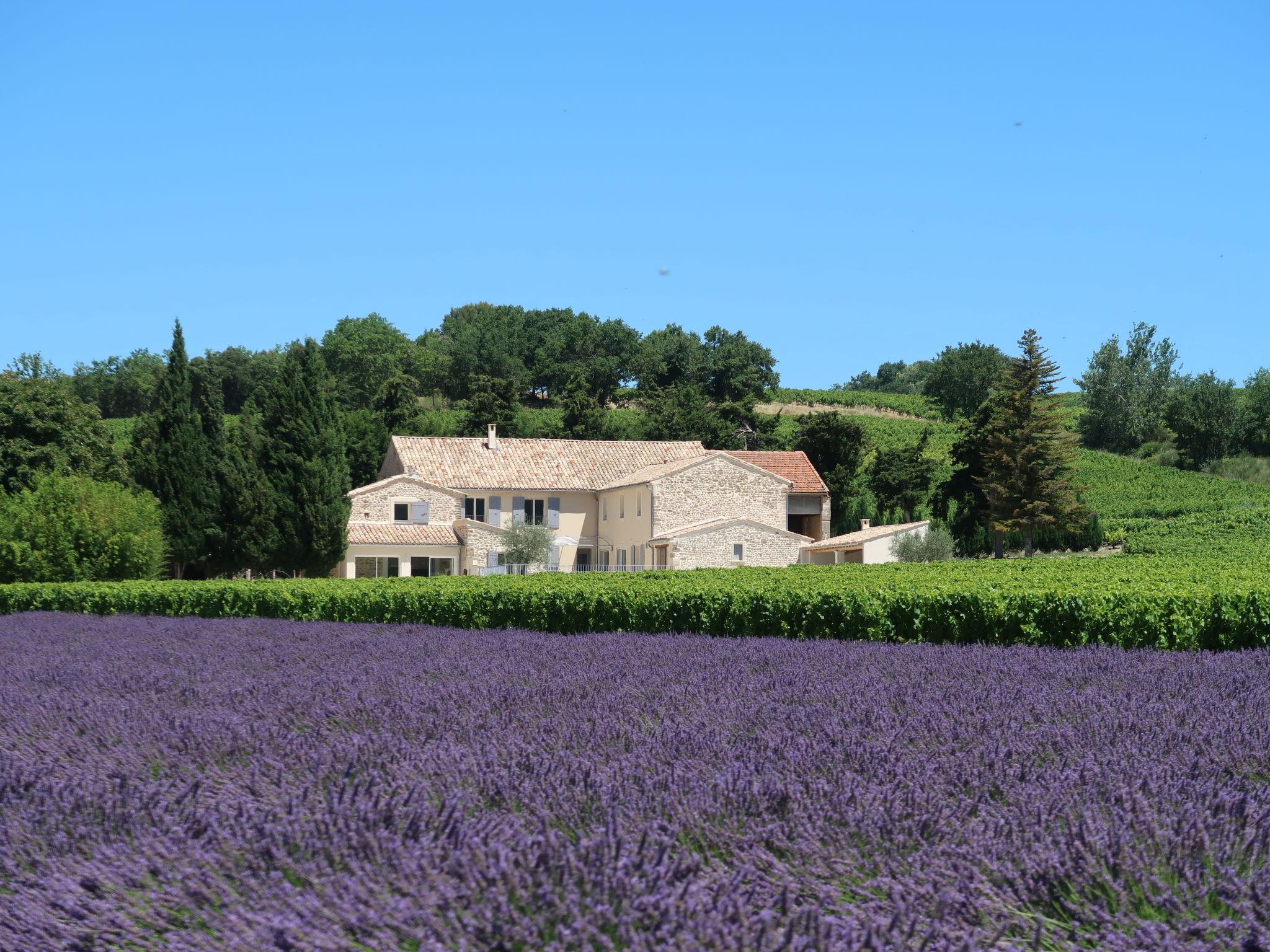 Photo 46 - Maison de 8 chambres à Valréas avec piscine privée et jardin