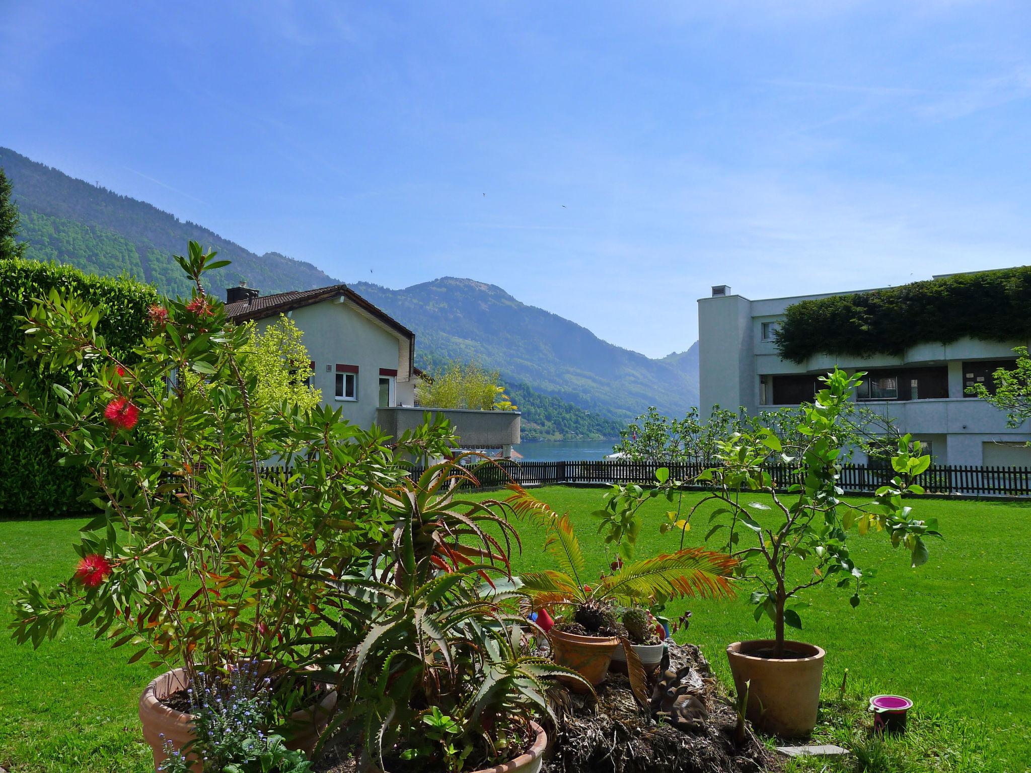 Photo 14 - Appartement de 1 chambre à Weggis avec jardin et vues sur la montagne