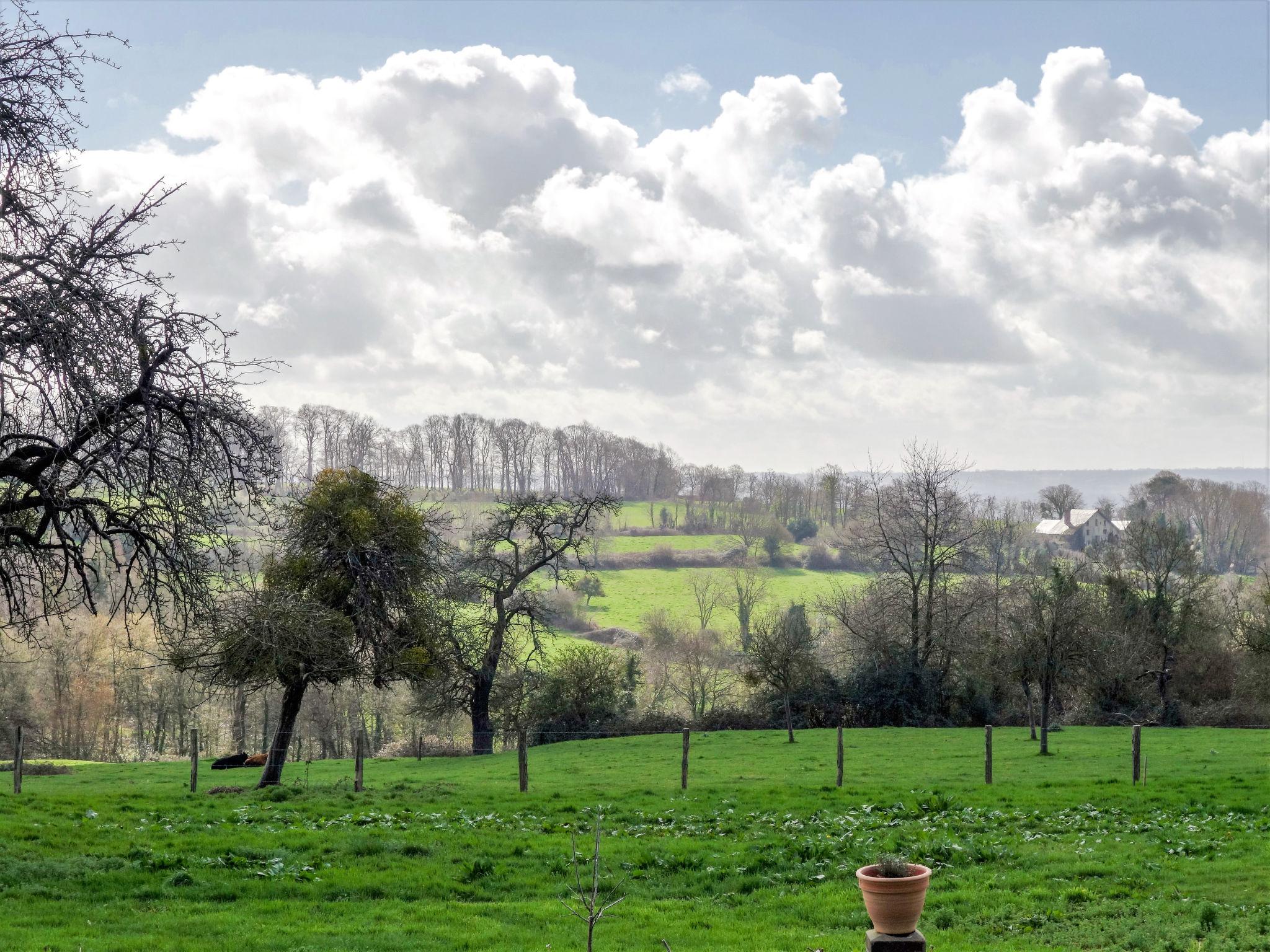 Photo 3 - 4 bedroom House in Trouville-sur-Mer with garden