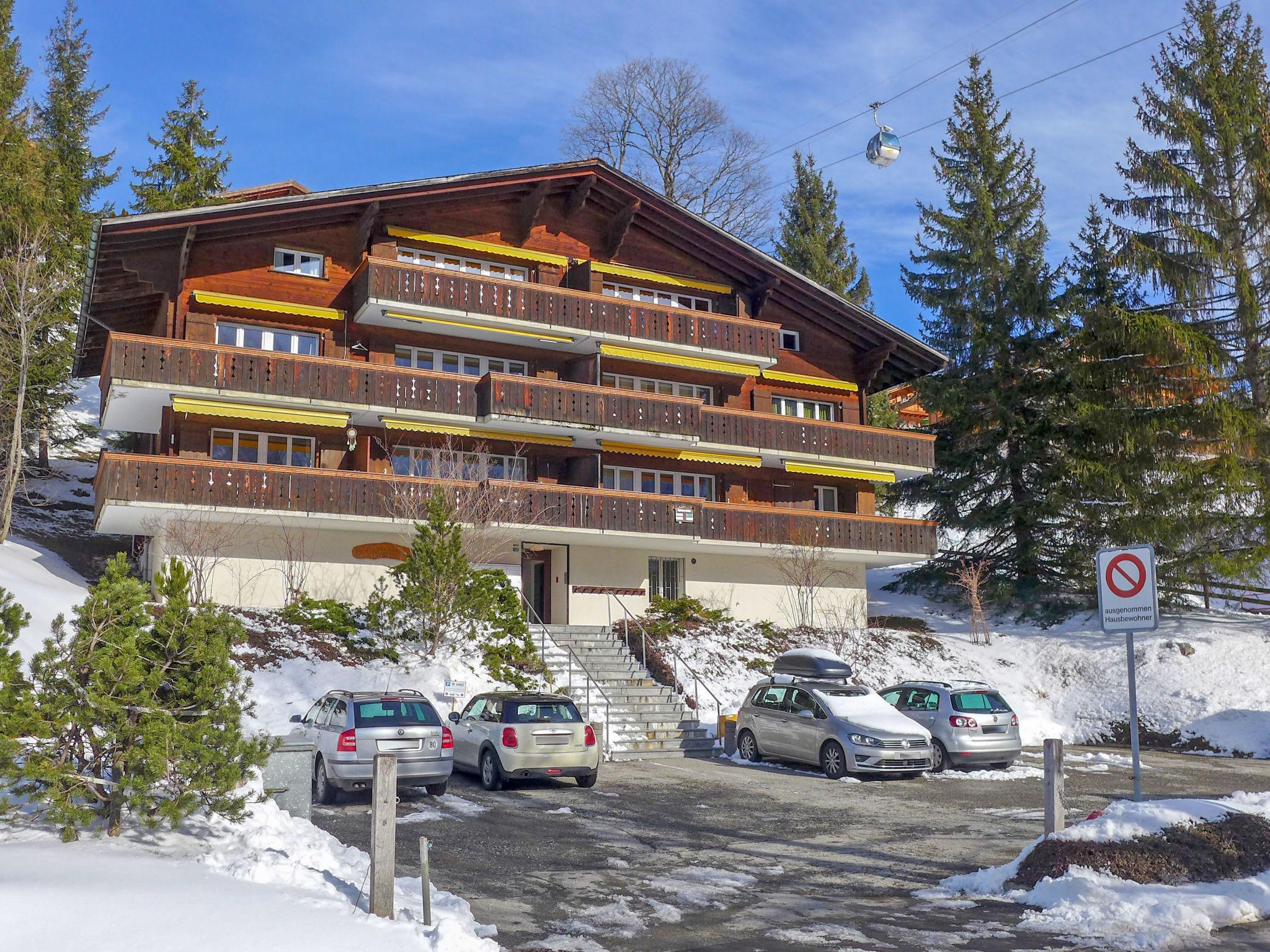 Photo 29 - Appartement de 3 chambres à Grindelwald avec vues sur la montagne