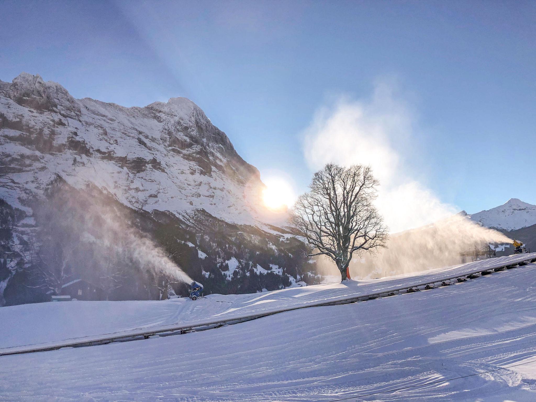 Photo 24 - Appartement de 3 chambres à Grindelwald avec vues sur la montagne