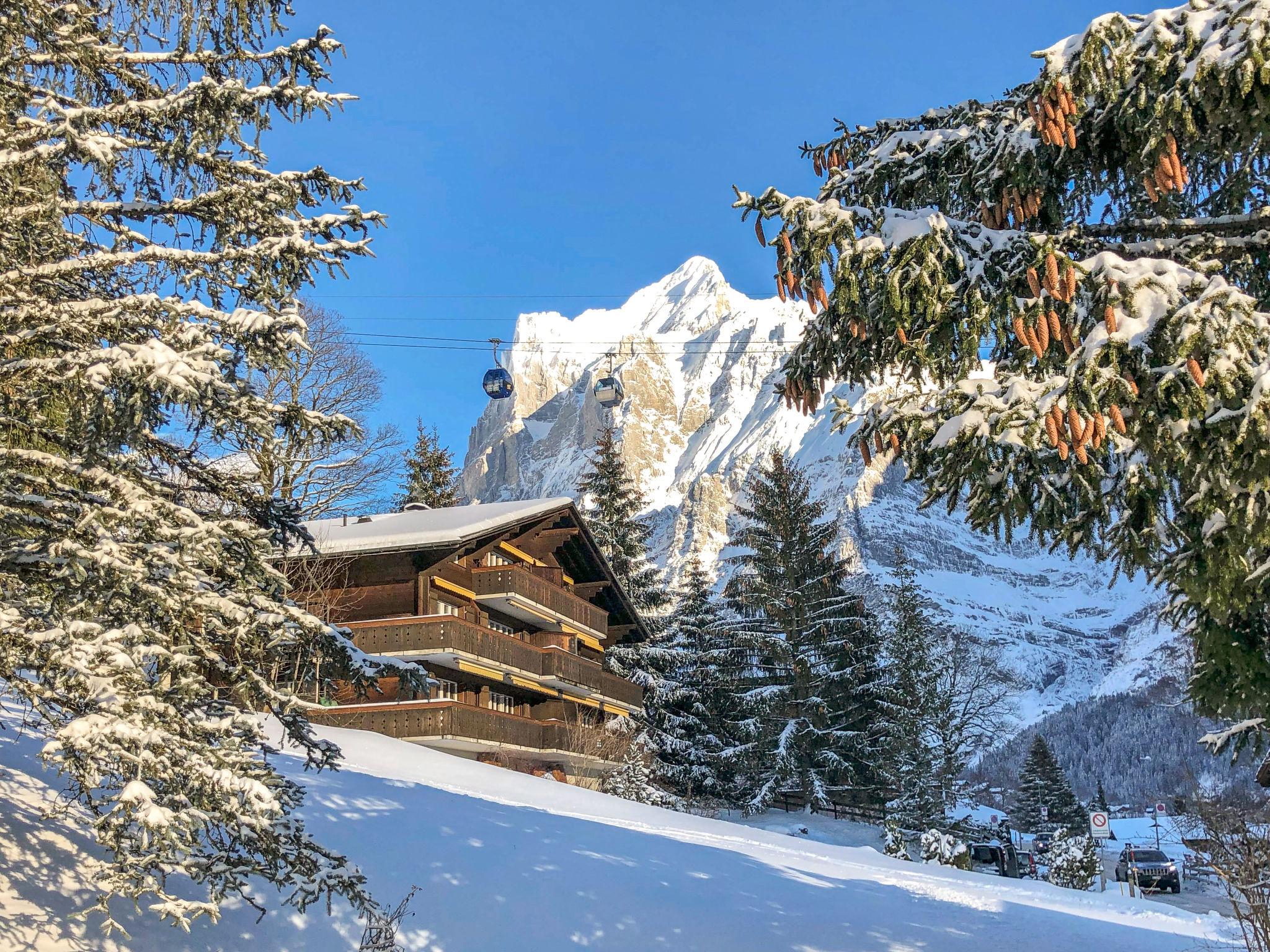 Photo 25 - Appartement de 3 chambres à Grindelwald avec vues sur la montagne