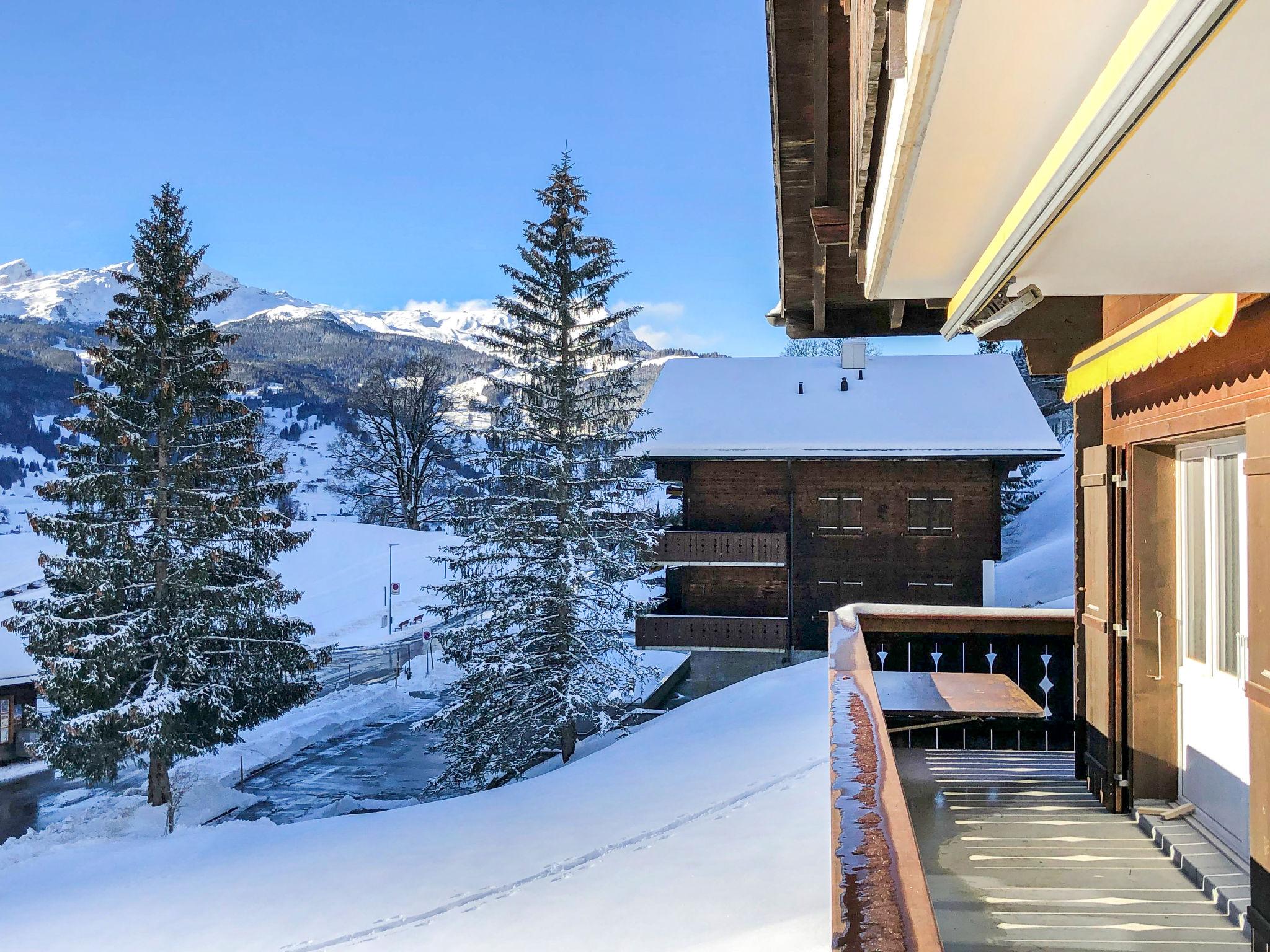 Foto 26 - Appartamento con 3 camere da letto a Grindelwald con vista sulle montagne