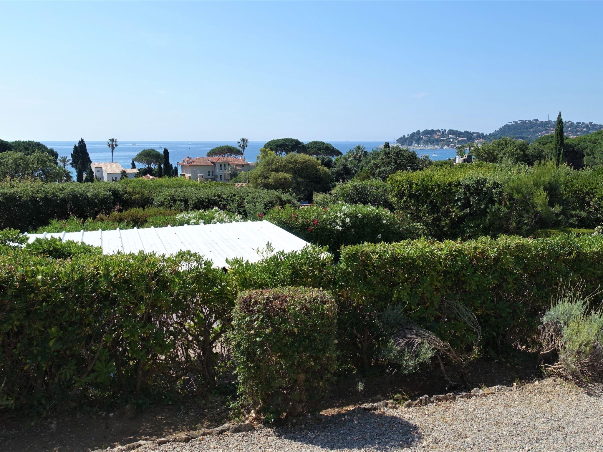 Foto 4 - Apartamento de 1 habitación en Cavalaire-sur-Mer con terraza