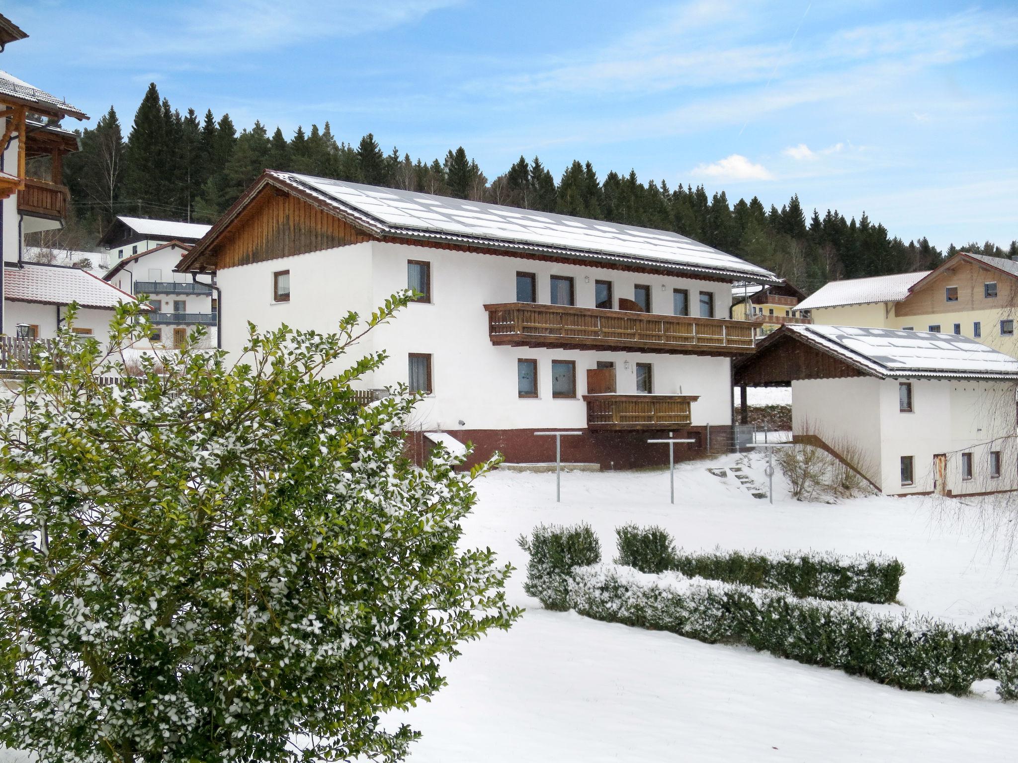 Photo 13 - Appartement de 1 chambre à Lohberg avec jardin et vues sur la montagne