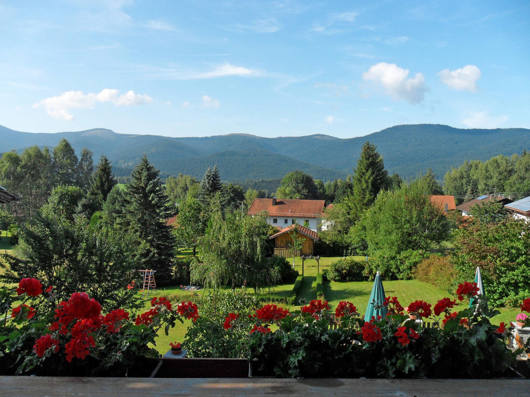 Foto 2 - Appartamento con 1 camera da letto a Lohberg con giardino e vista sulle montagne