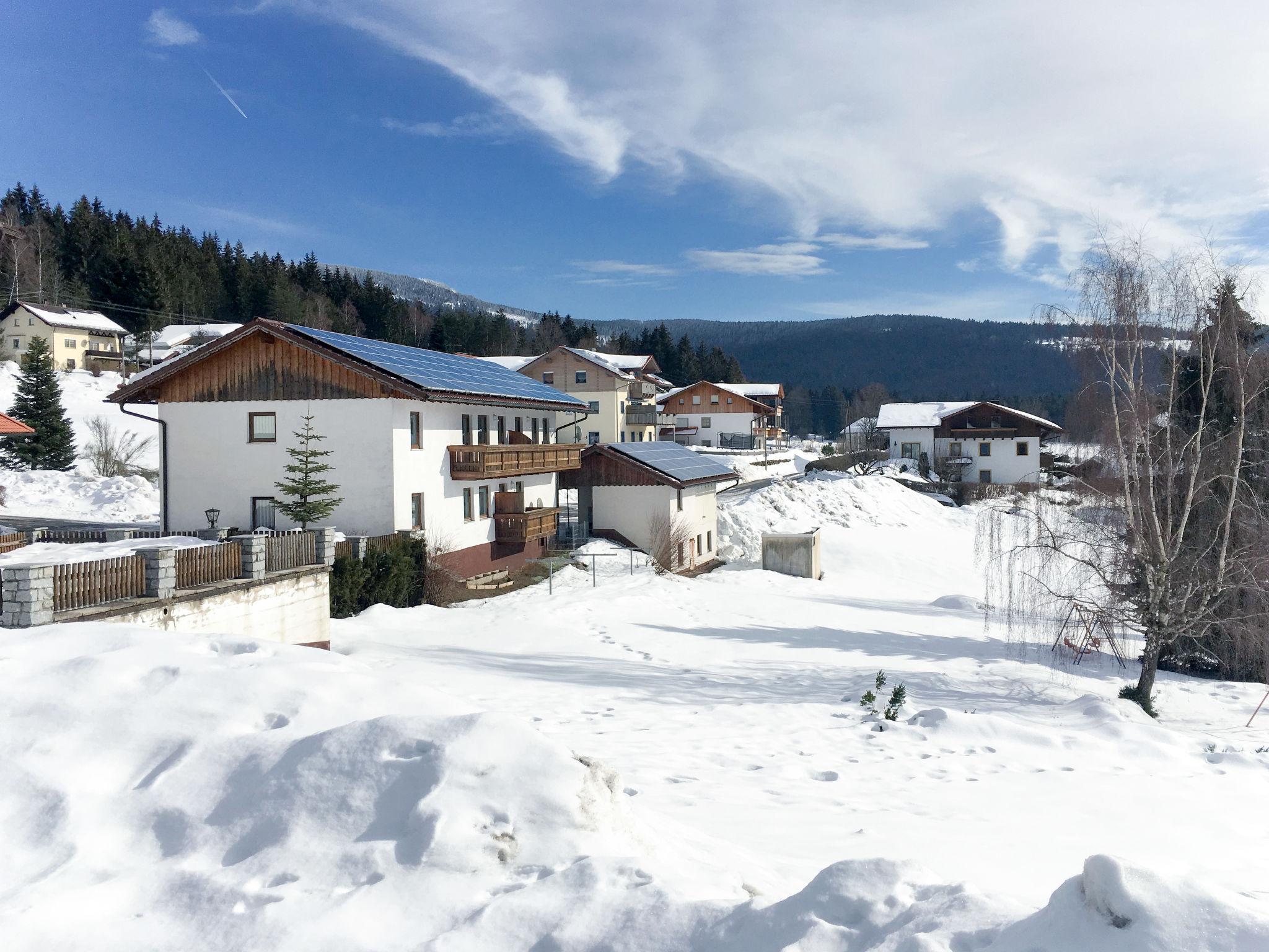 Foto 14 - Apartamento de 1 habitación en Lohberg con jardín y vistas a la montaña