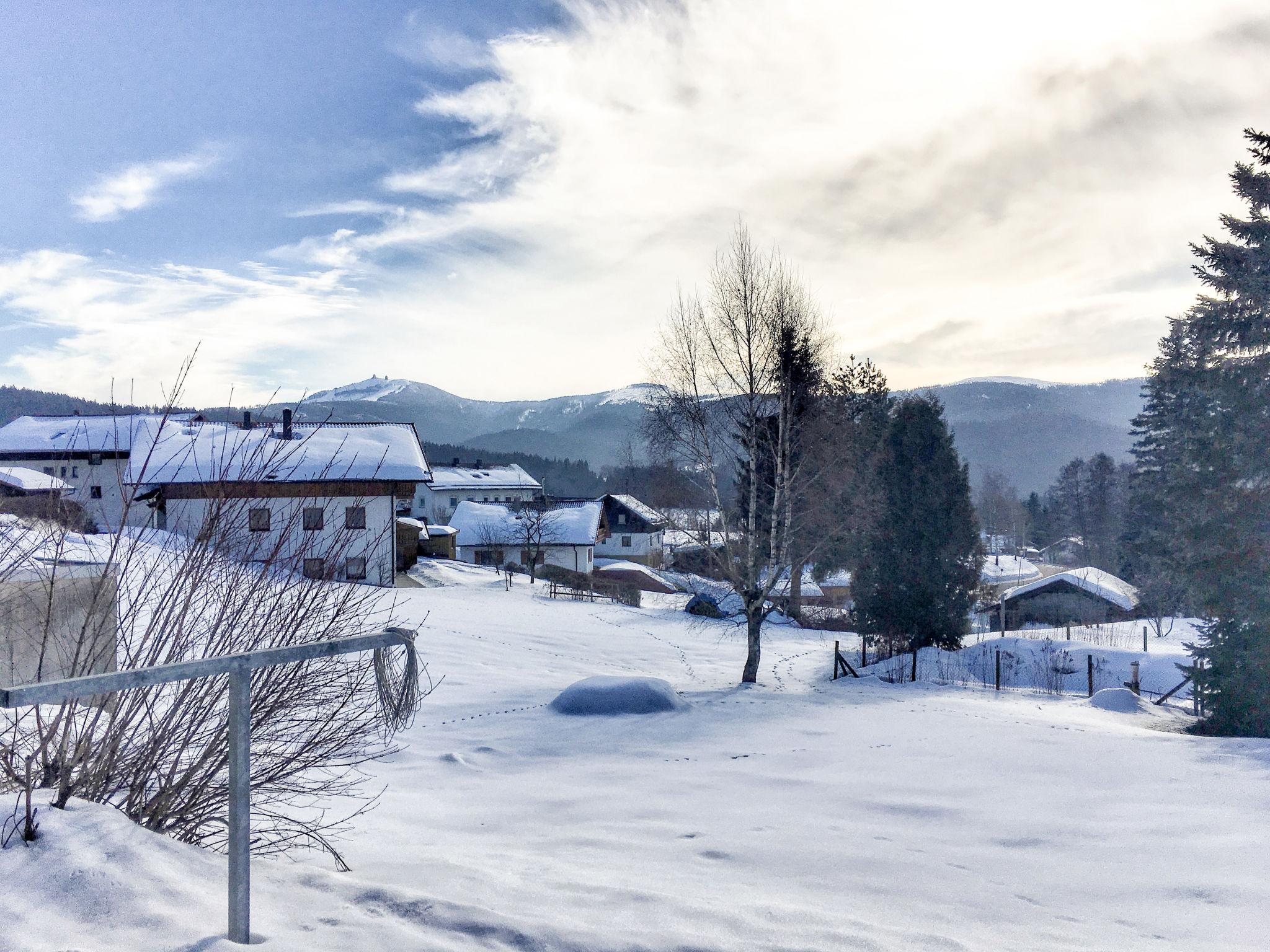 Photo 12 - Appartement de 1 chambre à Lohberg avec jardin et vues sur la montagne