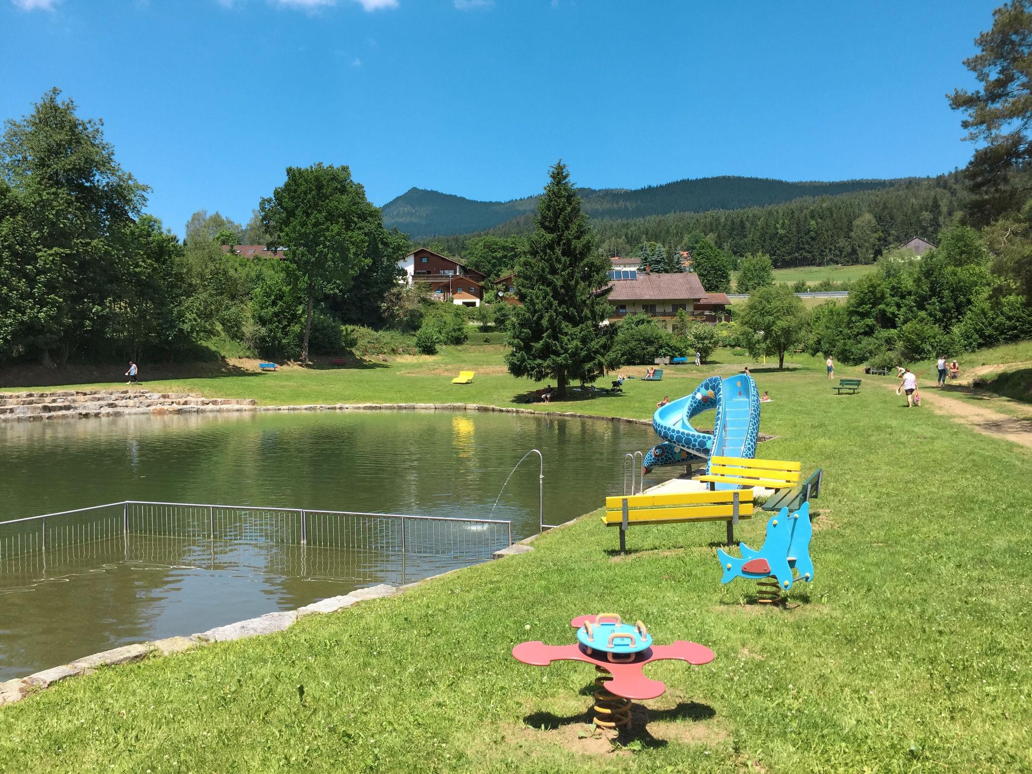 Photo 16 - 1 bedroom Apartment in Lohberg with garden and mountain view