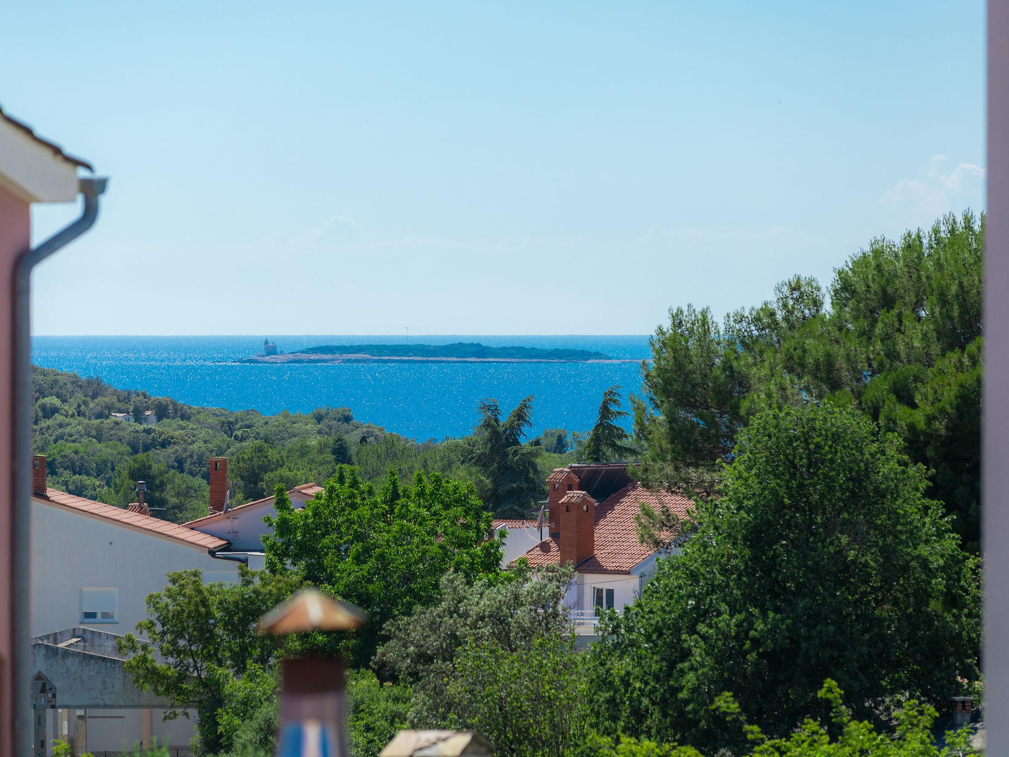 Photo 44 - Maison de 8 chambres à Pula avec piscine privée et jardin