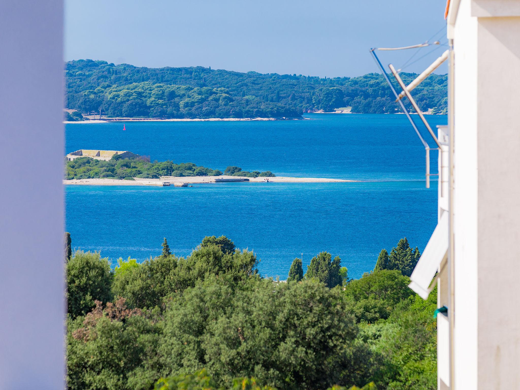 Foto 46 - Casa de 8 quartos em Pula com piscina privada e jardim