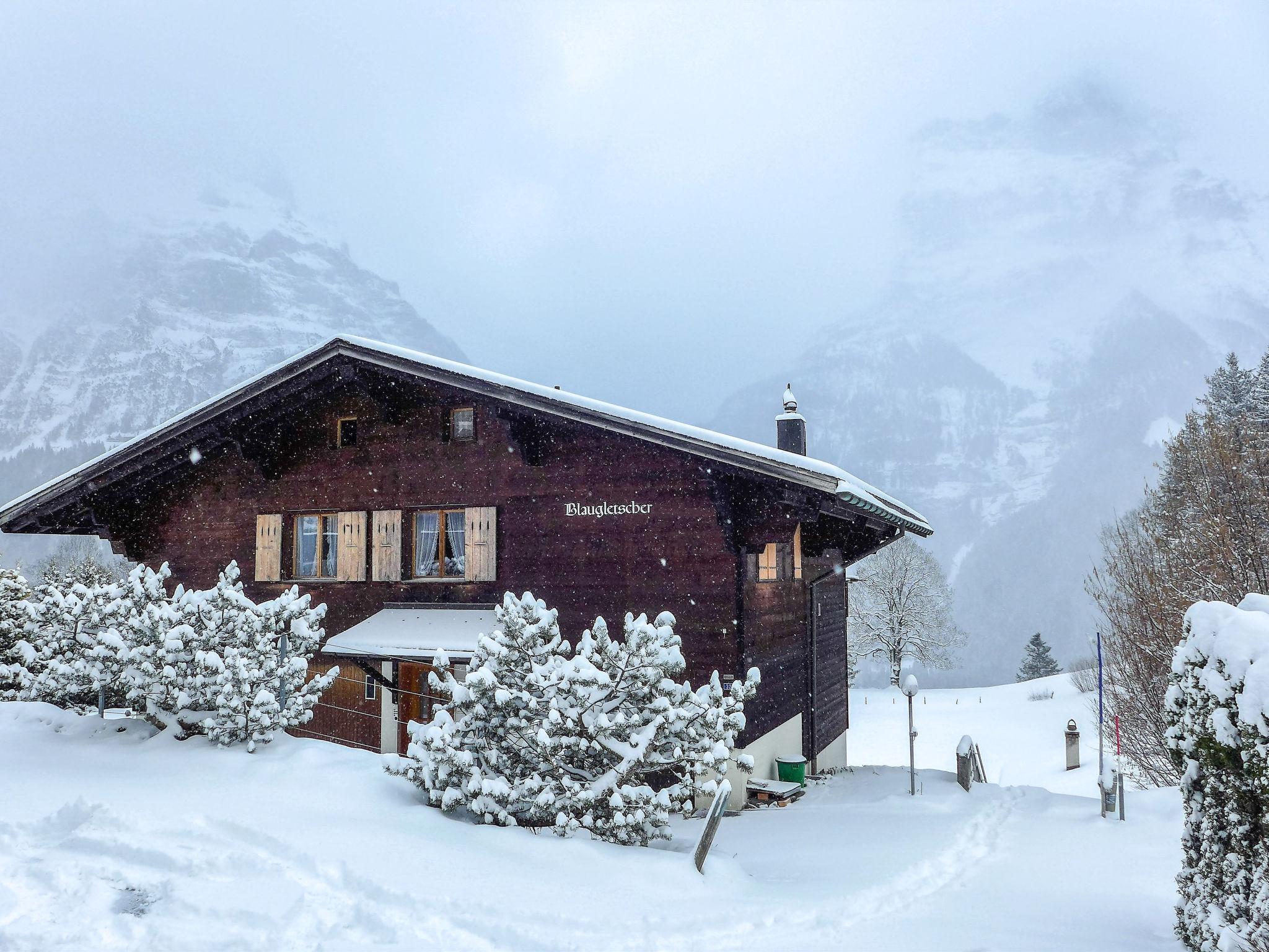 Foto 14 - Apartamento de 2 habitaciones en Grindelwald con vistas a la montaña