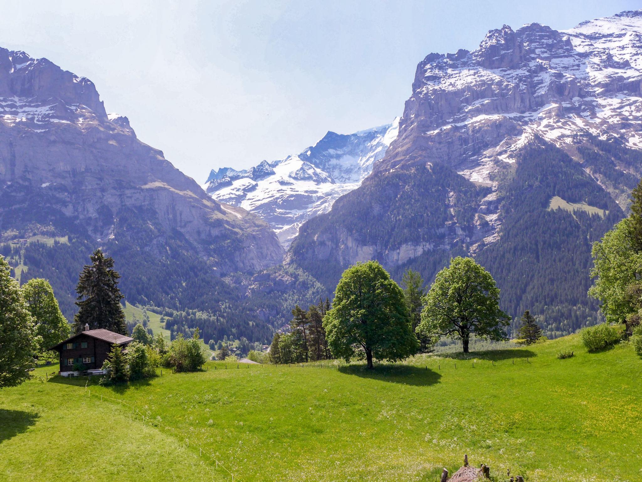 Foto 3 - Appartamento con 2 camere da letto a Grindelwald con vista sulle montagne