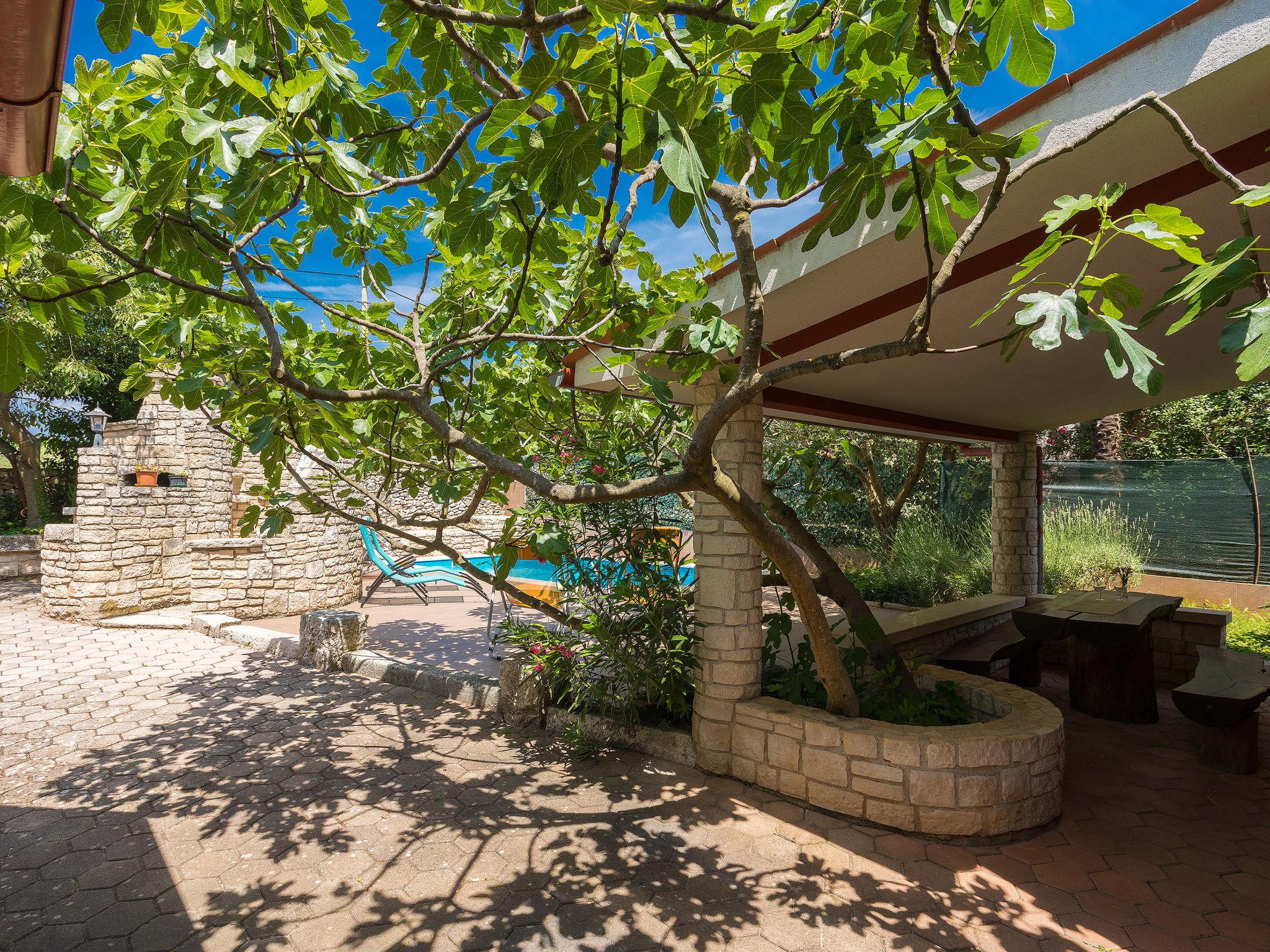 Foto 4 - Casa de 3 habitaciones en Marčana con piscina y jardín