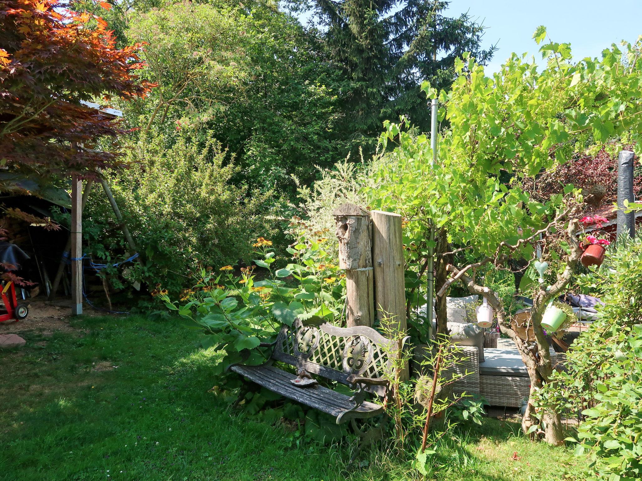 Photo 13 - House in Kaltennordheim with garden and mountain view