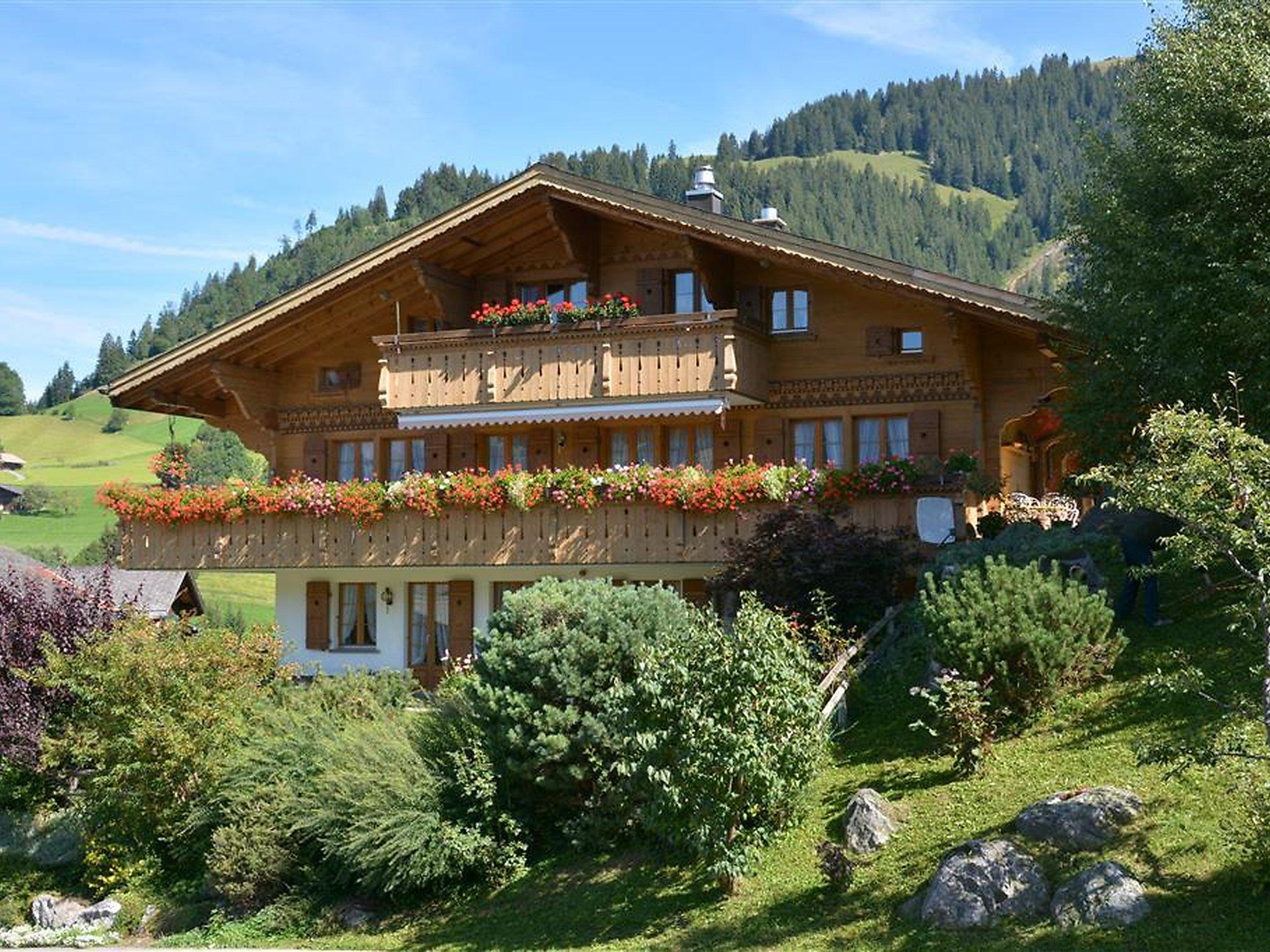 Photo 1 - 4 bedroom Apartment in Saanen with hot tub