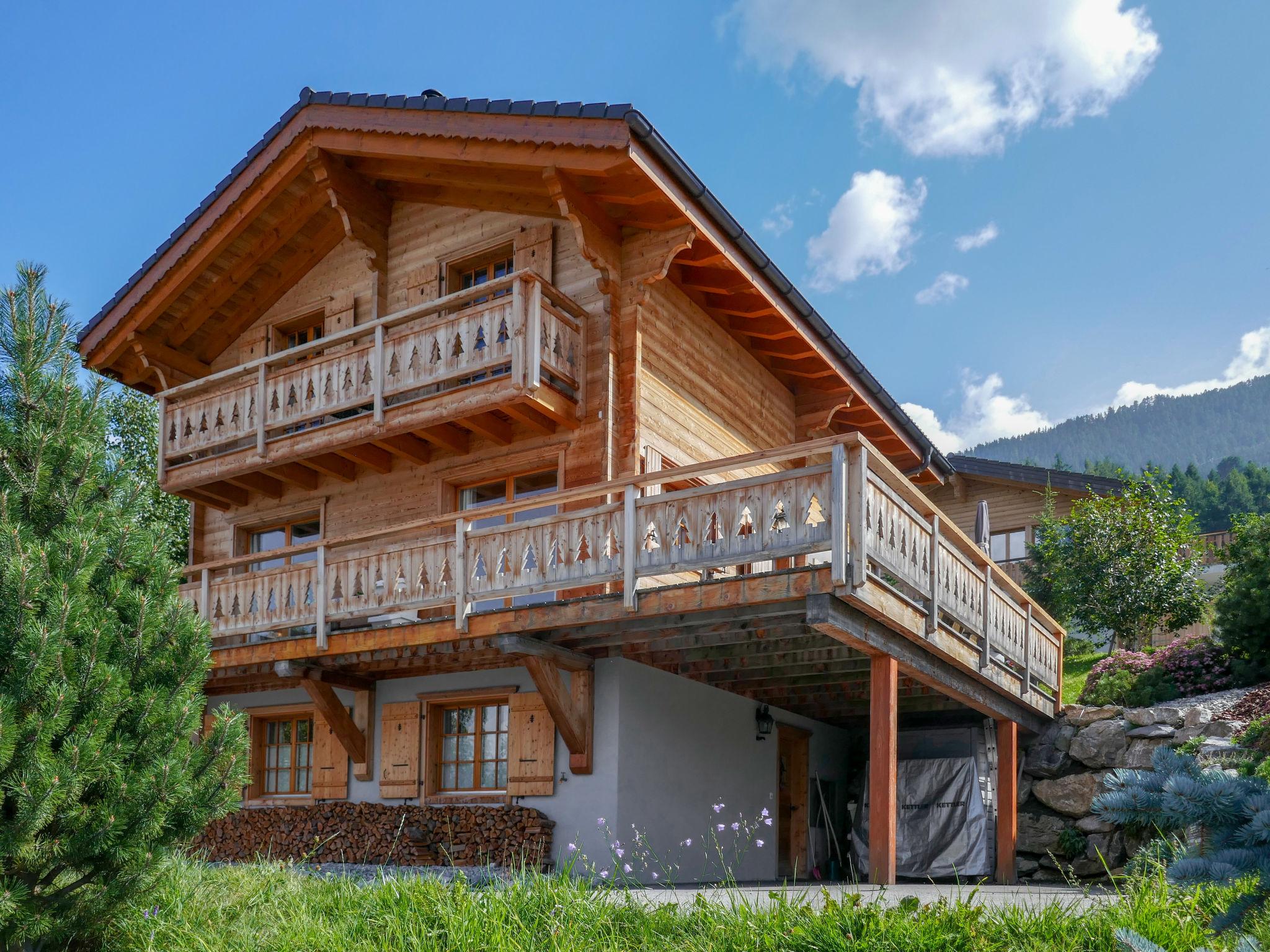 Foto 42 - Casa con 4 camere da letto a Nendaz con giardino e terrazza