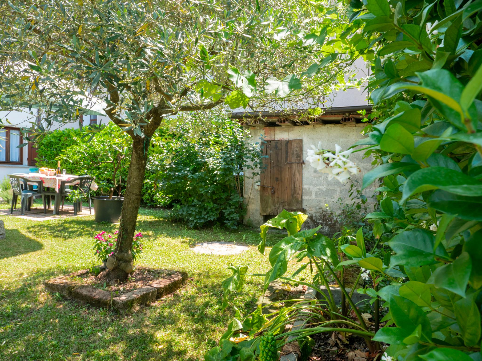 Photo 24 - Maison de 2 chambres à Rive d'Arcano avec jardin