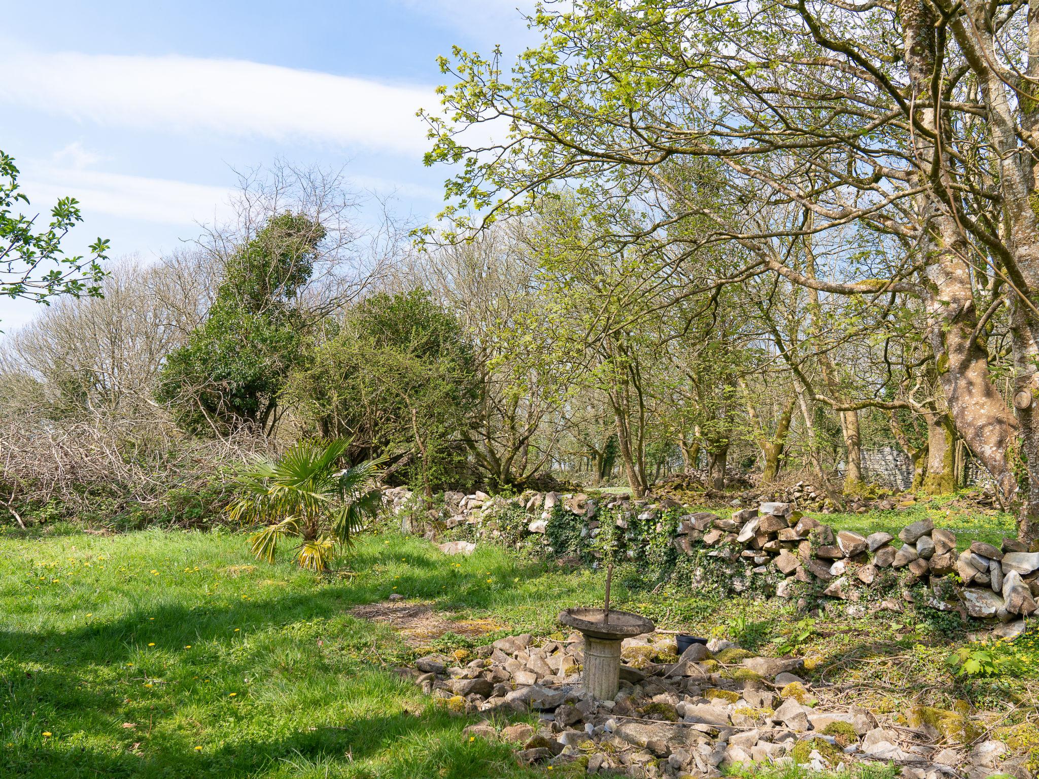 Foto 57 - Haus mit 2 Schlafzimmern in Claremorris mit garten