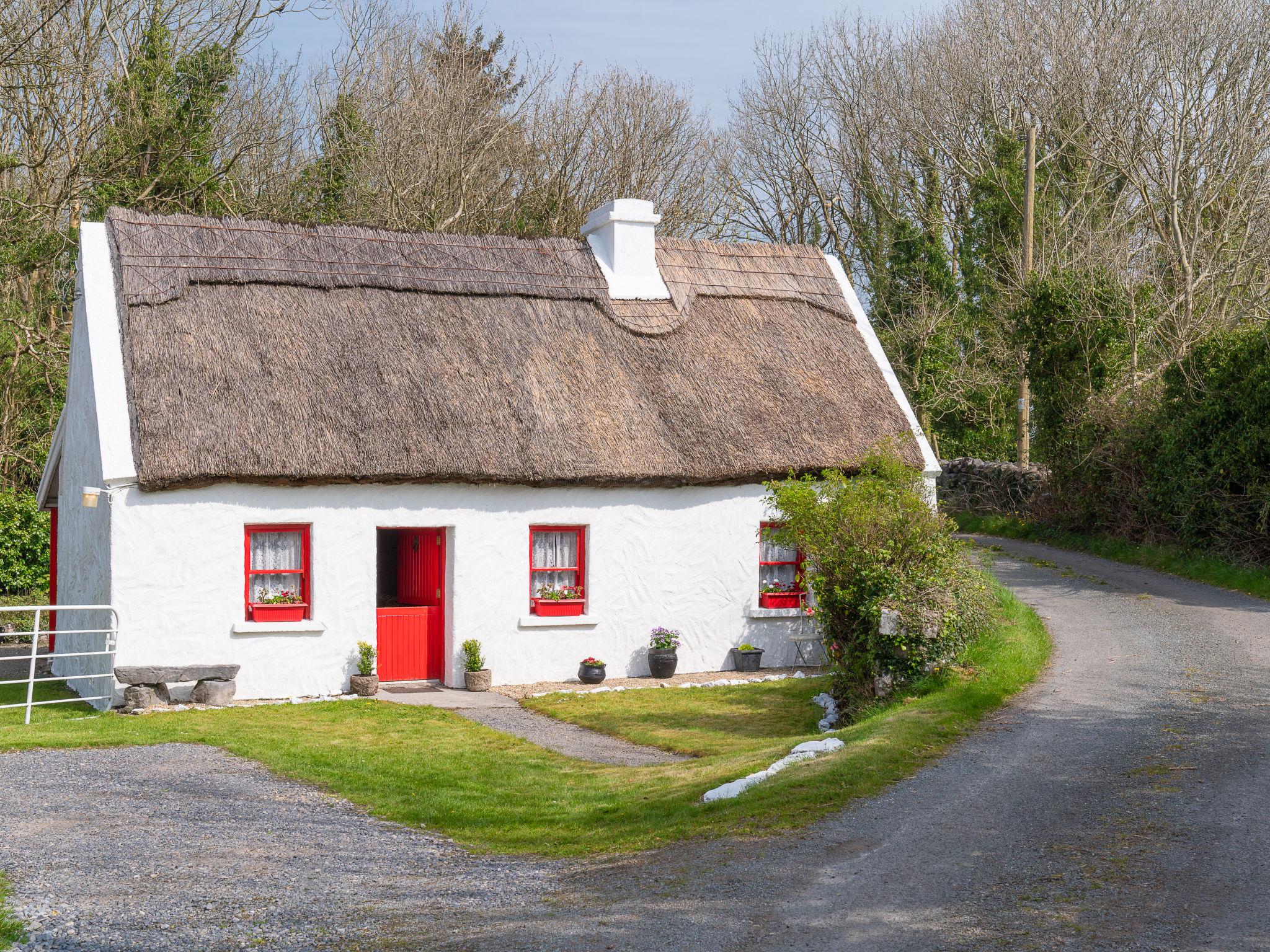 Photo 20 - Maison de 2 chambres à Claremorris avec jardin