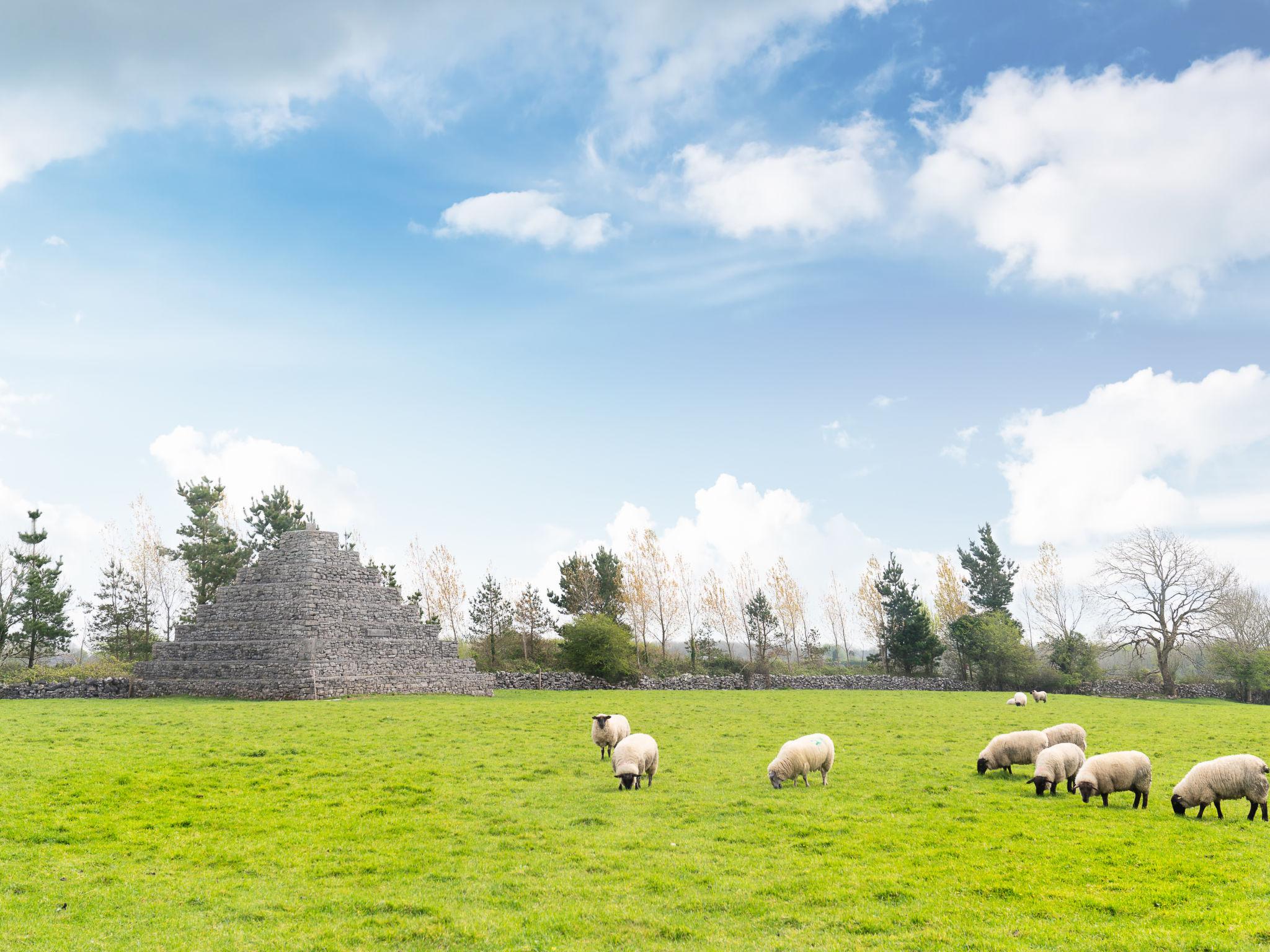 Foto 43 - Haus mit 2 Schlafzimmern in Claremorris mit garten