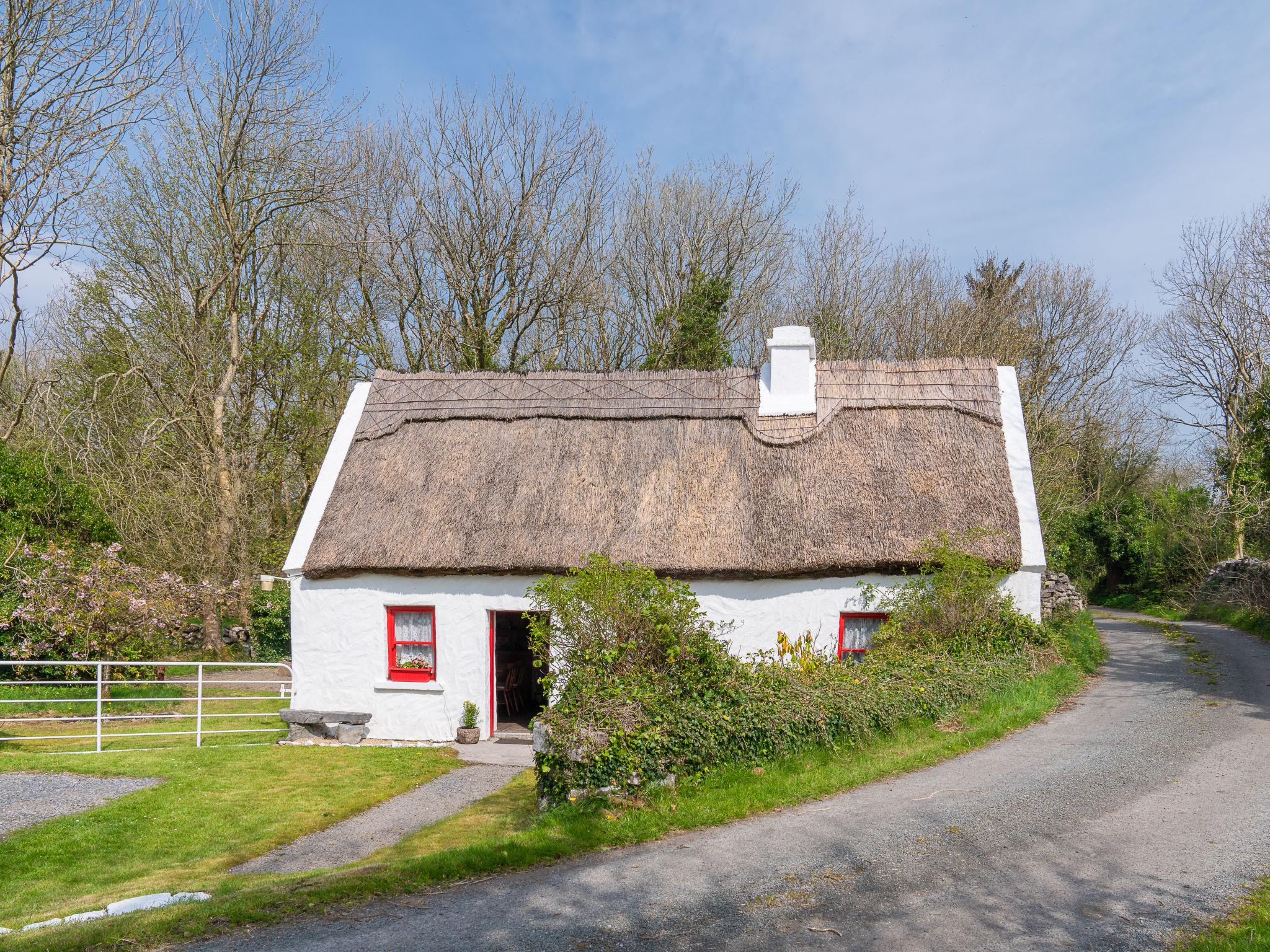 Foto 22 - Haus mit 2 Schlafzimmern in Claremorris mit garten