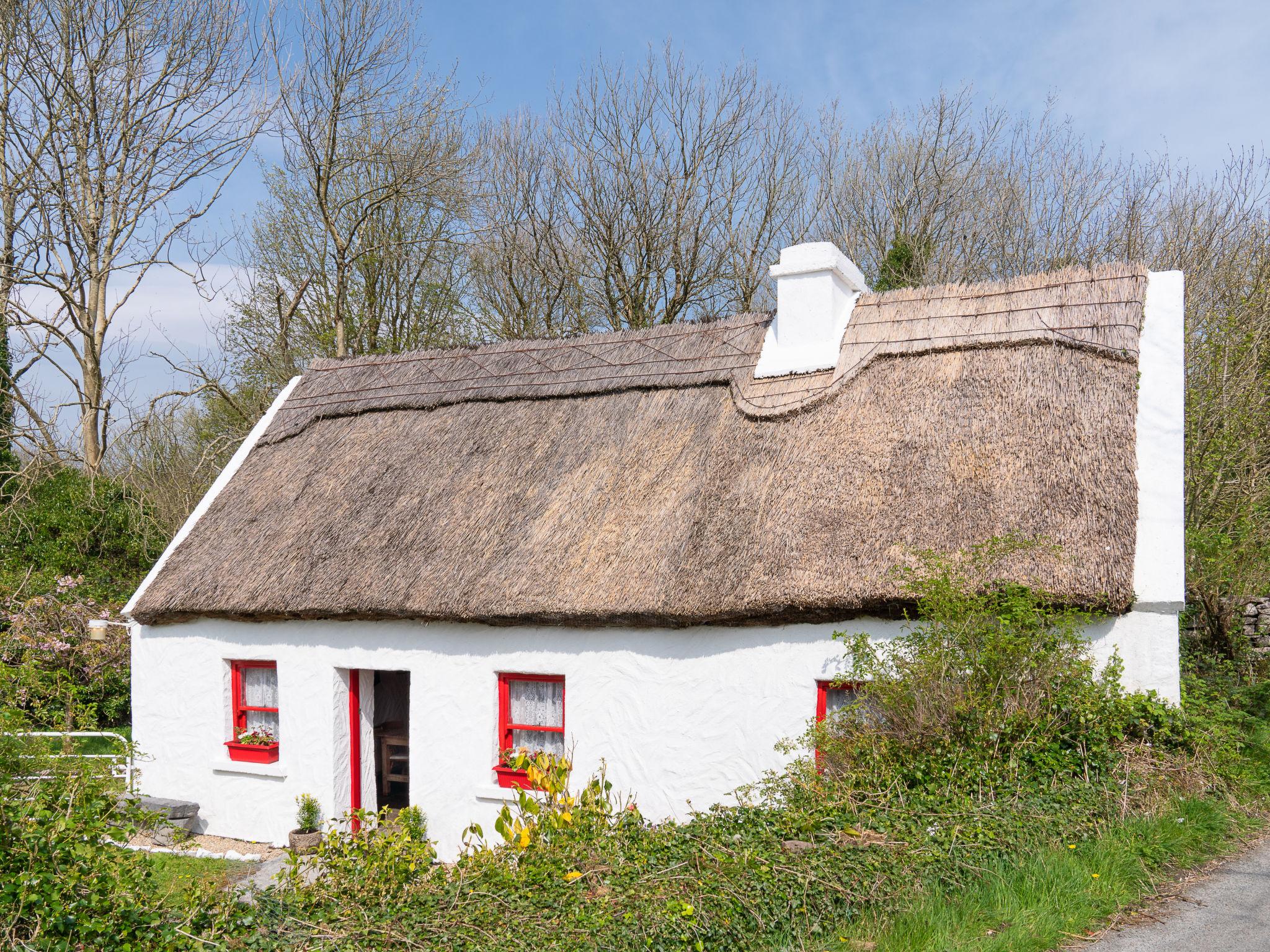 Foto 24 - Haus mit 2 Schlafzimmern in Claremorris mit garten