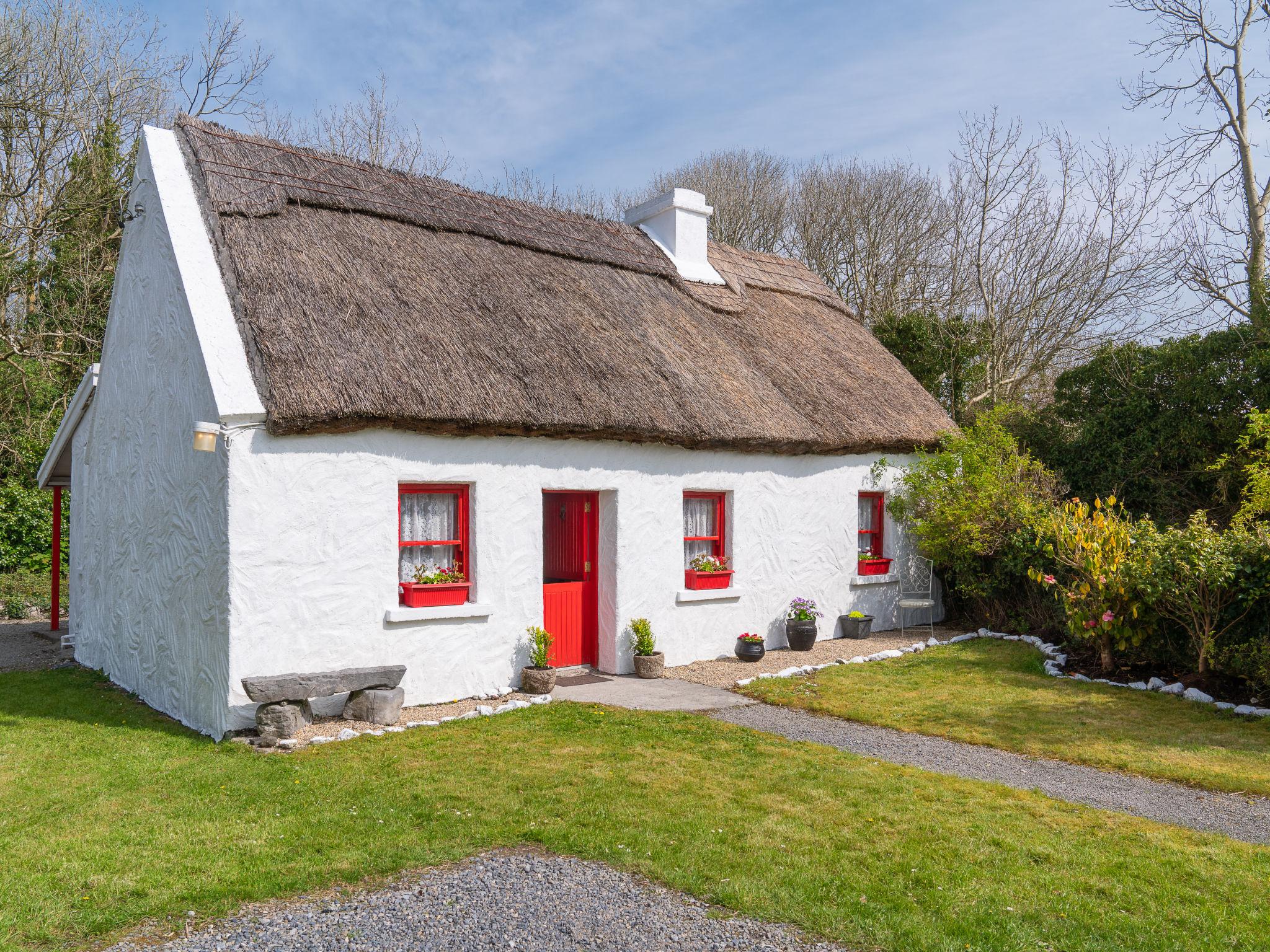 Photo 23 - Maison de 2 chambres à Claremorris avec jardin