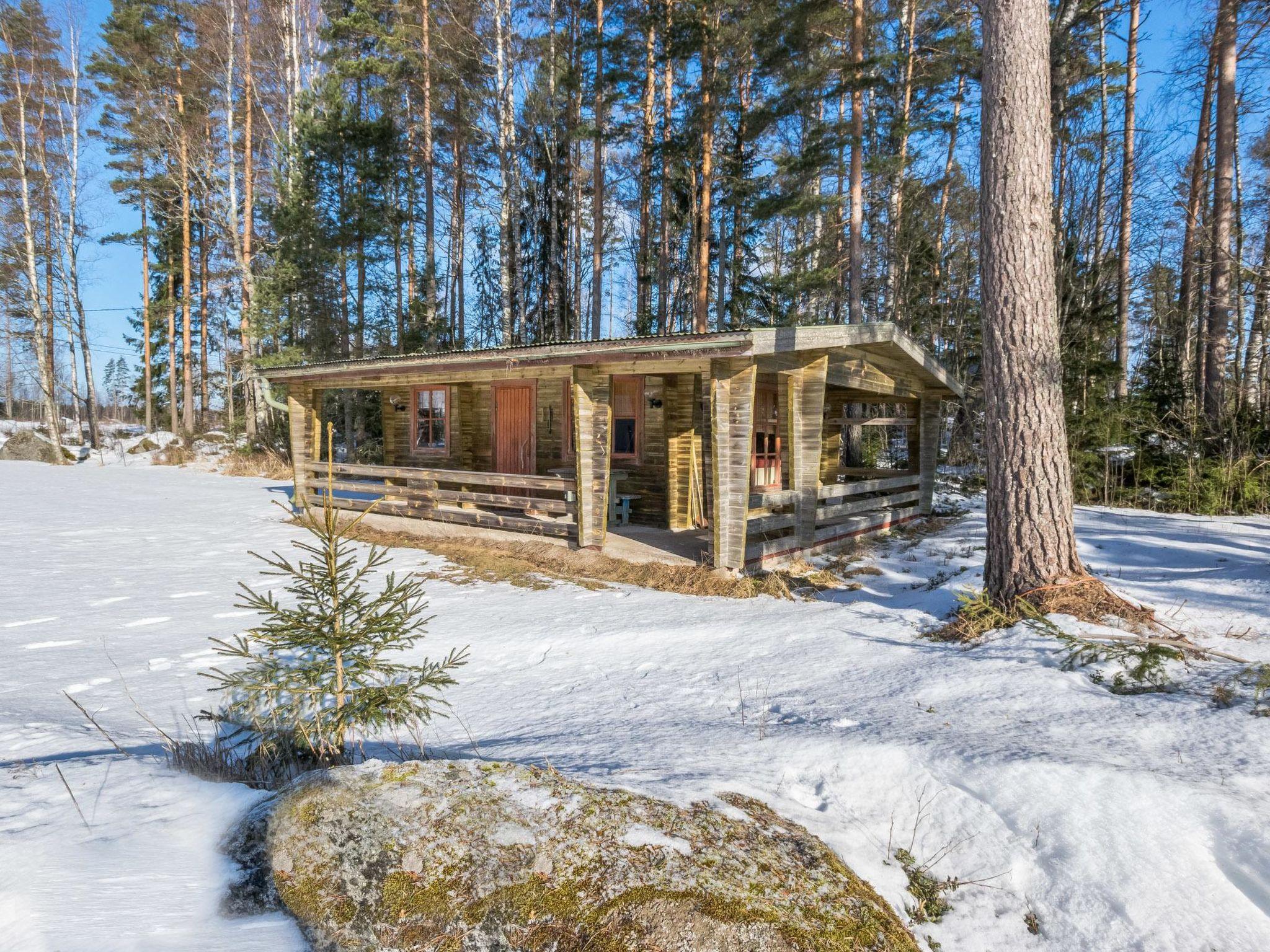 Foto 41 - Casa con 2 camere da letto a Pori con sauna