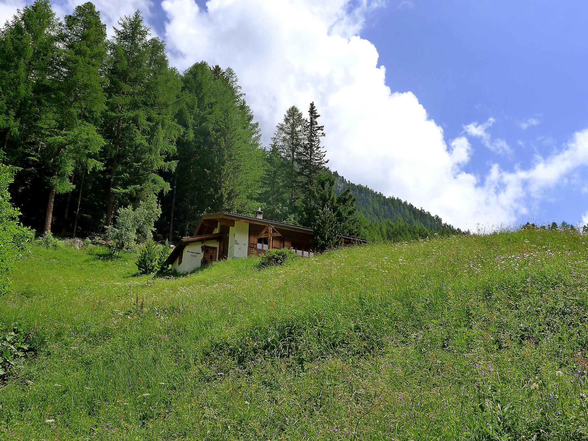 Foto 5 - Casa con 2 camere da letto a Sankt Niklaus con giardino e vista sulle montagne