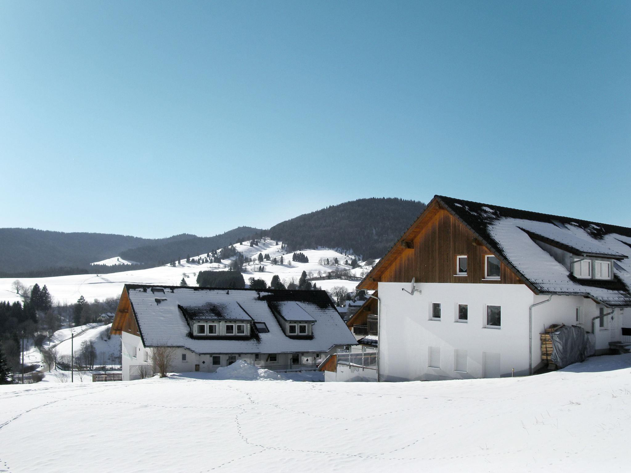 Foto 41 - Apartamento de 2 quartos em Bernau im Schwarzwald com terraço e vista para a montanha