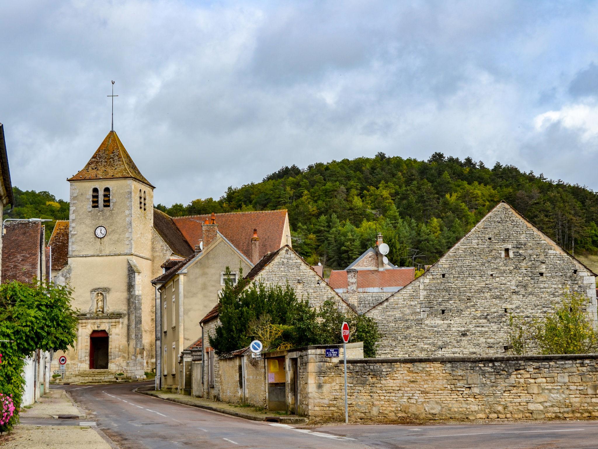 Foto 9 - Haus mit 2 Schlafzimmern in Saint-Martin-sur-Armançon mit terrasse