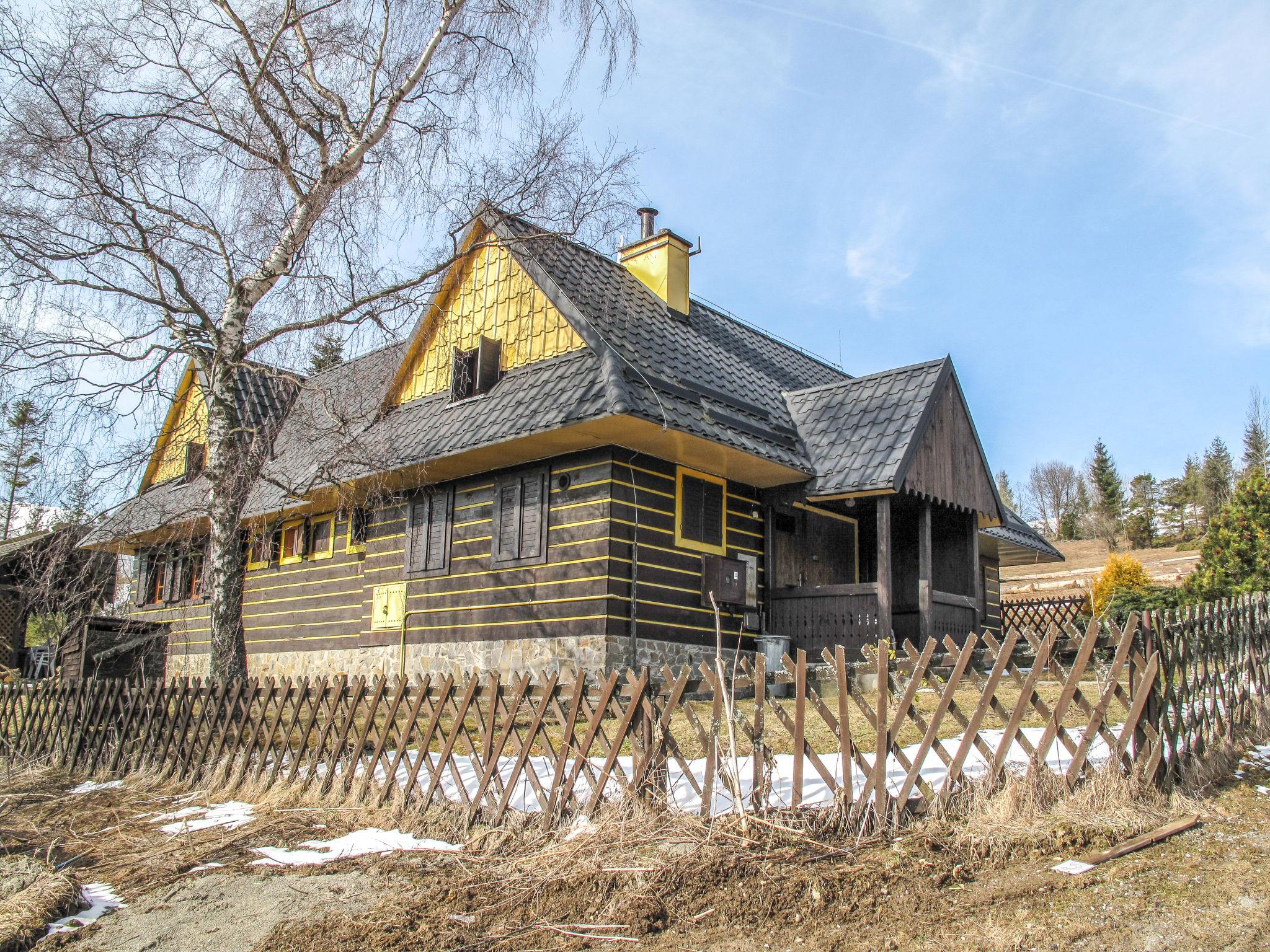 Photo 11 - Maison de 4 chambres à Ždiar avec jardin et terrasse