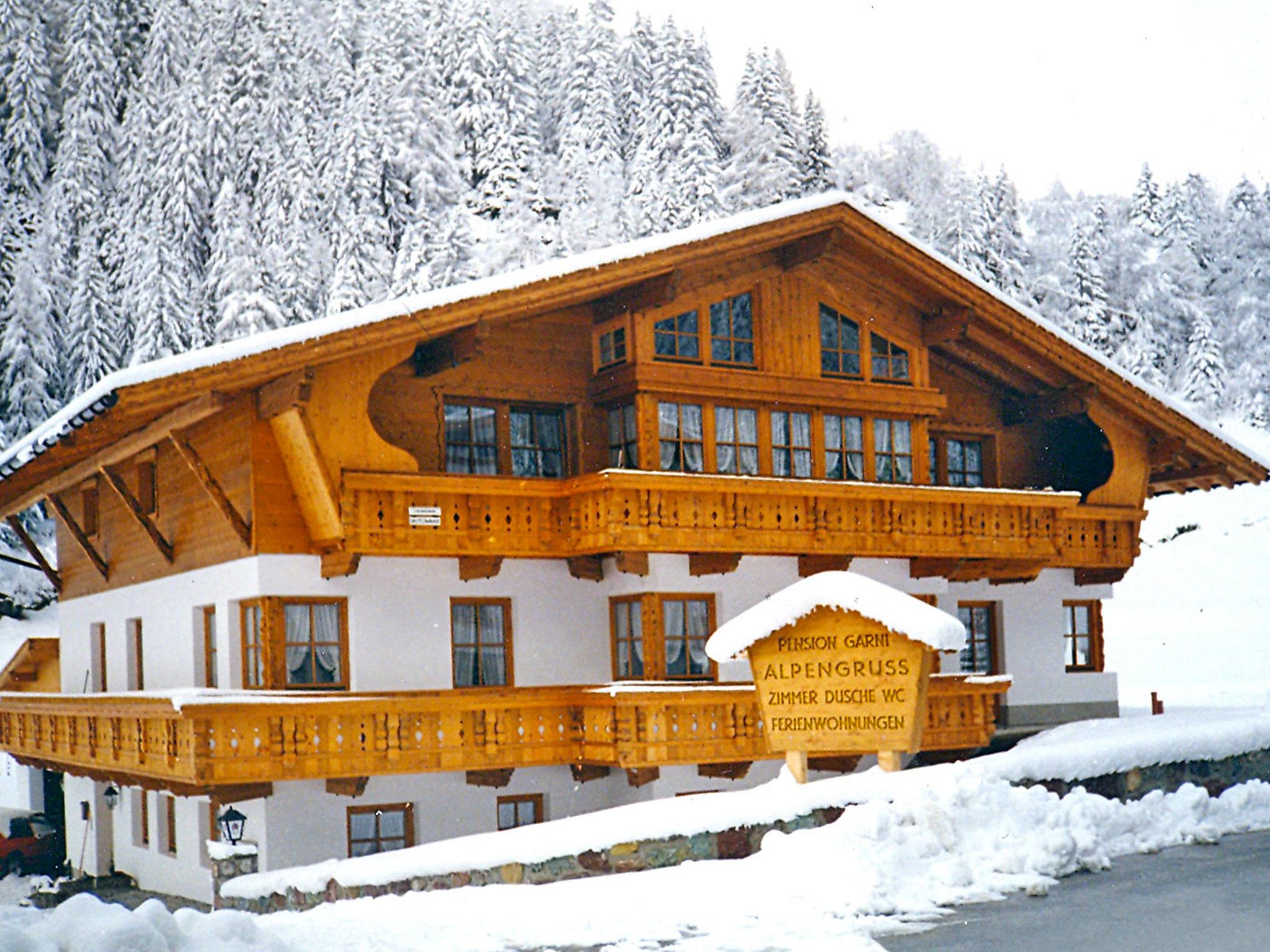 Photo 16 - Appartement en Sankt Leonhard im Pitztal avec jardin et sauna