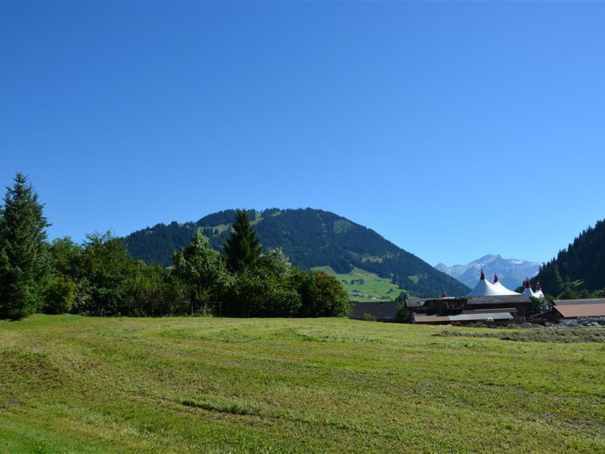 Photo 6 - 2 bedroom Apartment in Saanen