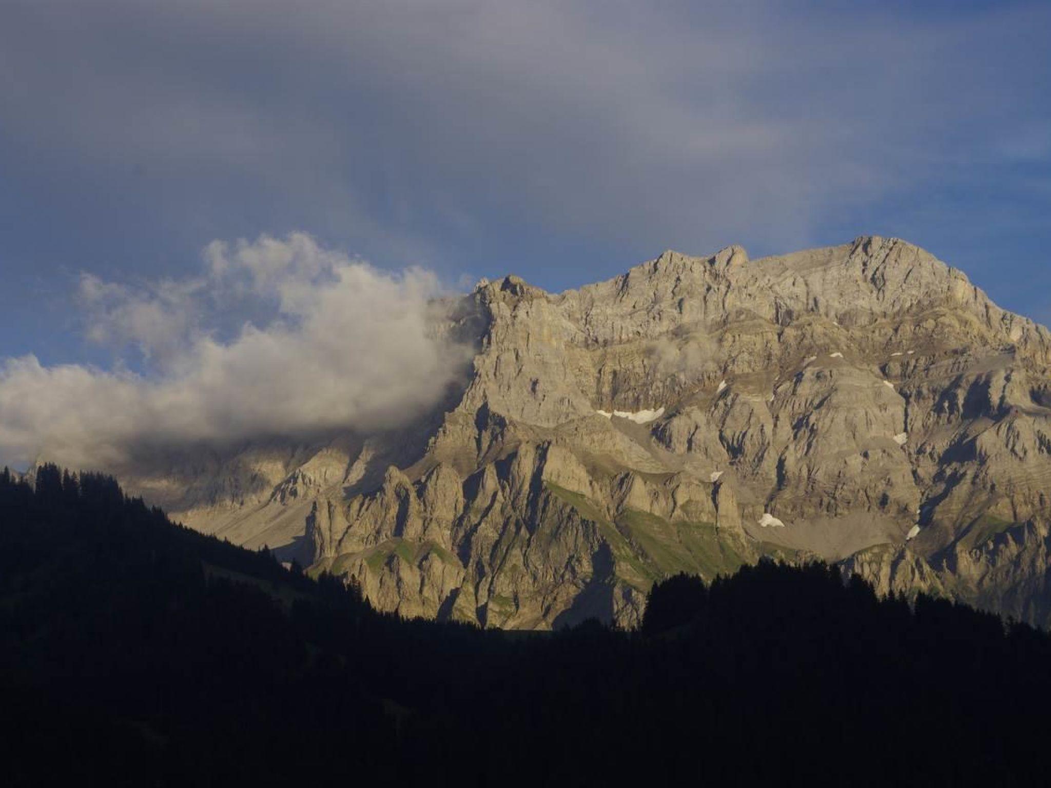 Foto 5 - Appartamento con 1 camera da letto a Adelboden