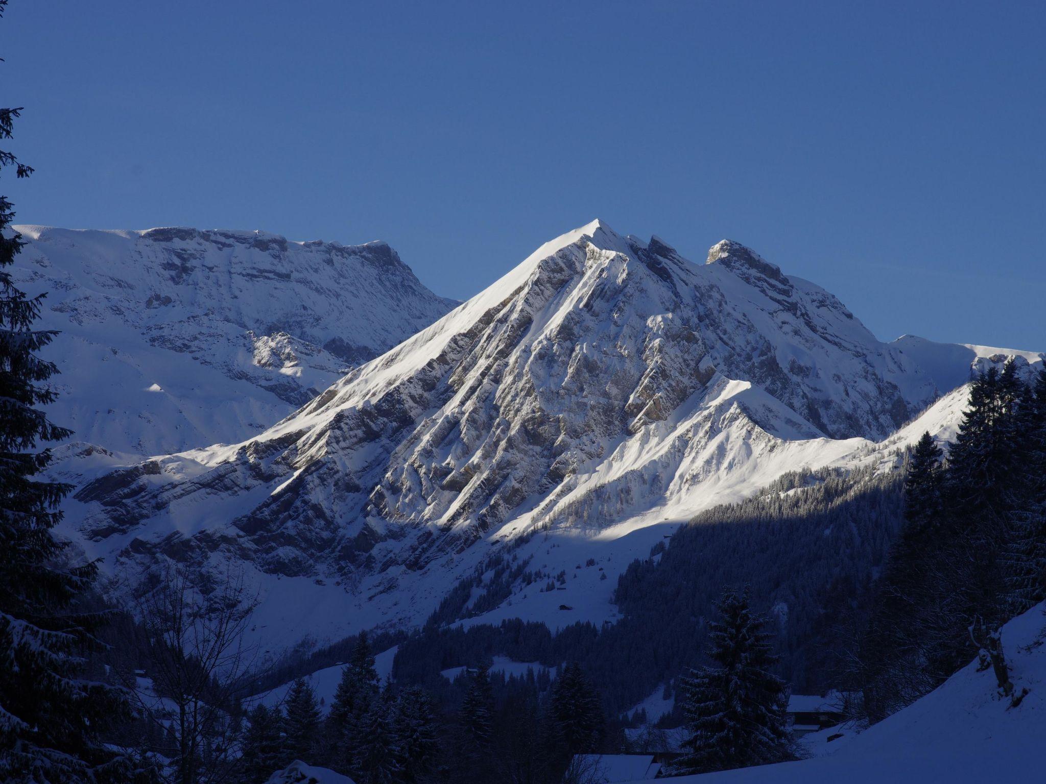 Foto 4 - Apartamento de 1 quarto em Adelboden