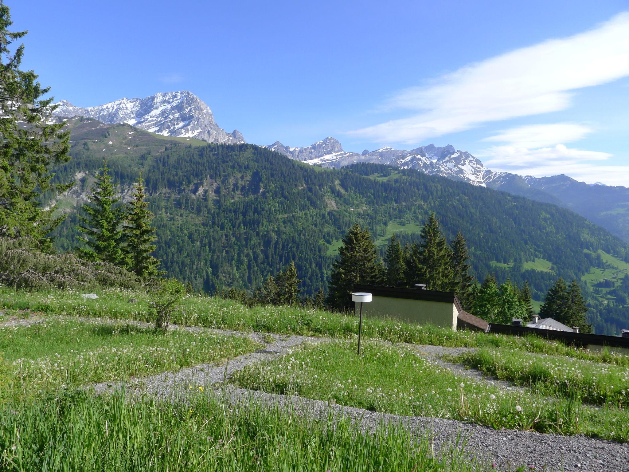 Foto 13 - Appartamento con 2 camere da letto a Gryon con terrazza e vista sulle montagne