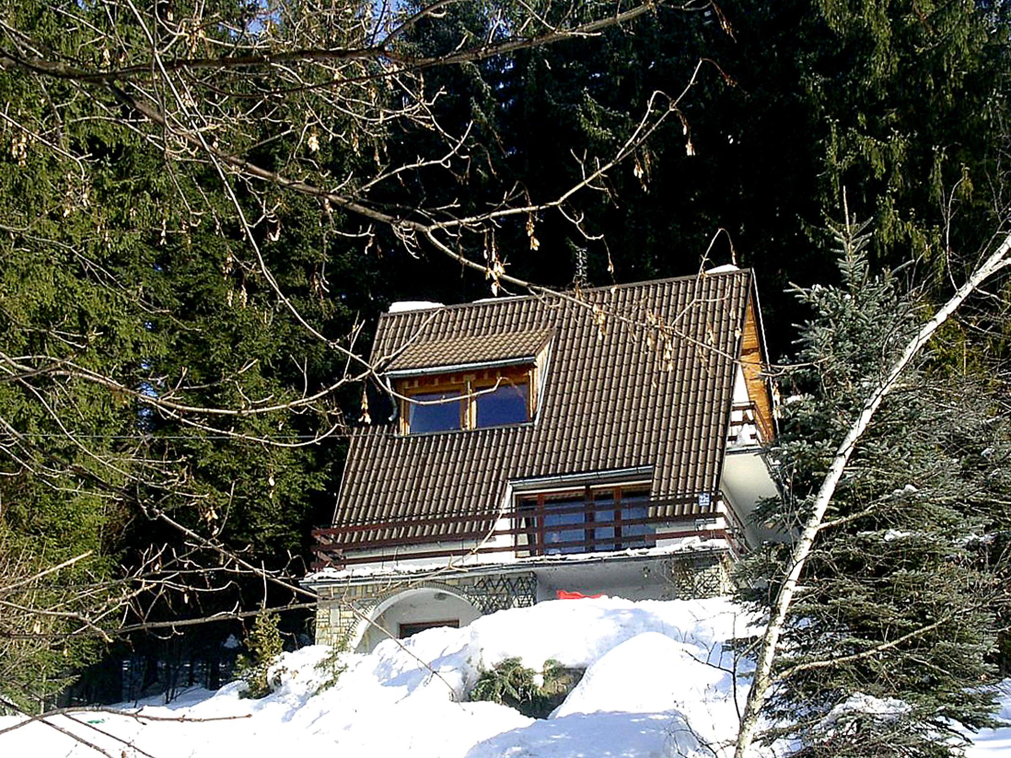 Foto 16 - Haus mit 3 Schlafzimmern in Wisła mit terrasse und blick auf die berge