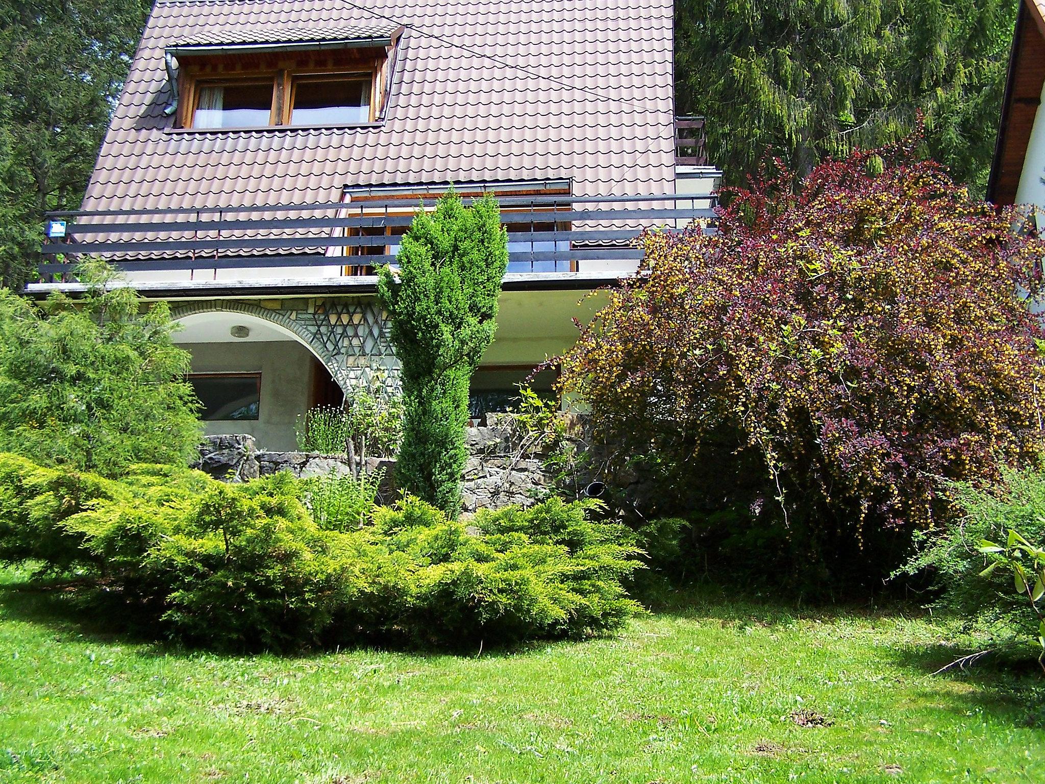 Foto 17 - Haus mit 3 Schlafzimmern in Wisła mit terrasse und blick auf die berge