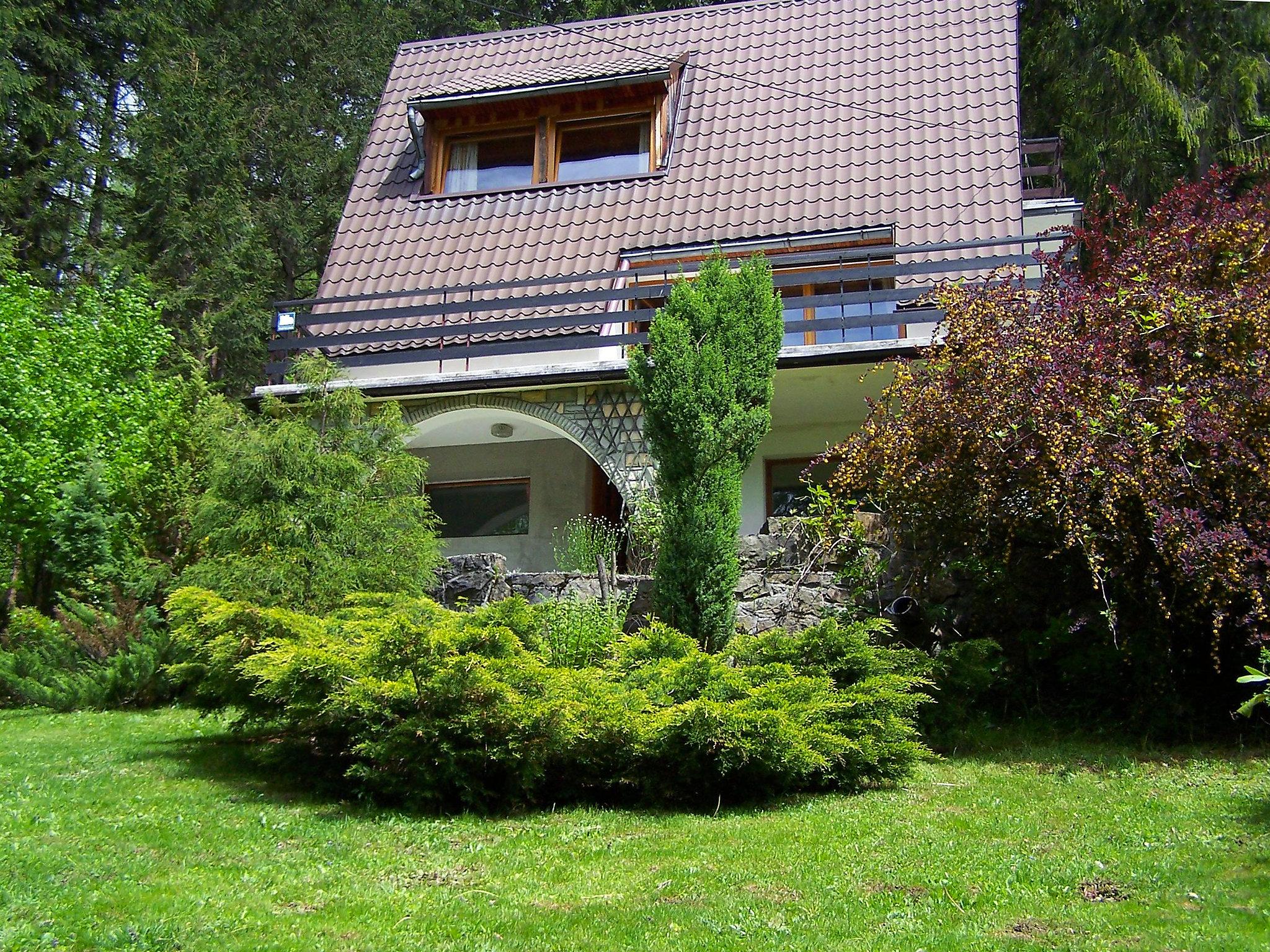 Foto 6 - Haus mit 3 Schlafzimmern in Wisła mit terrasse und blick auf die berge