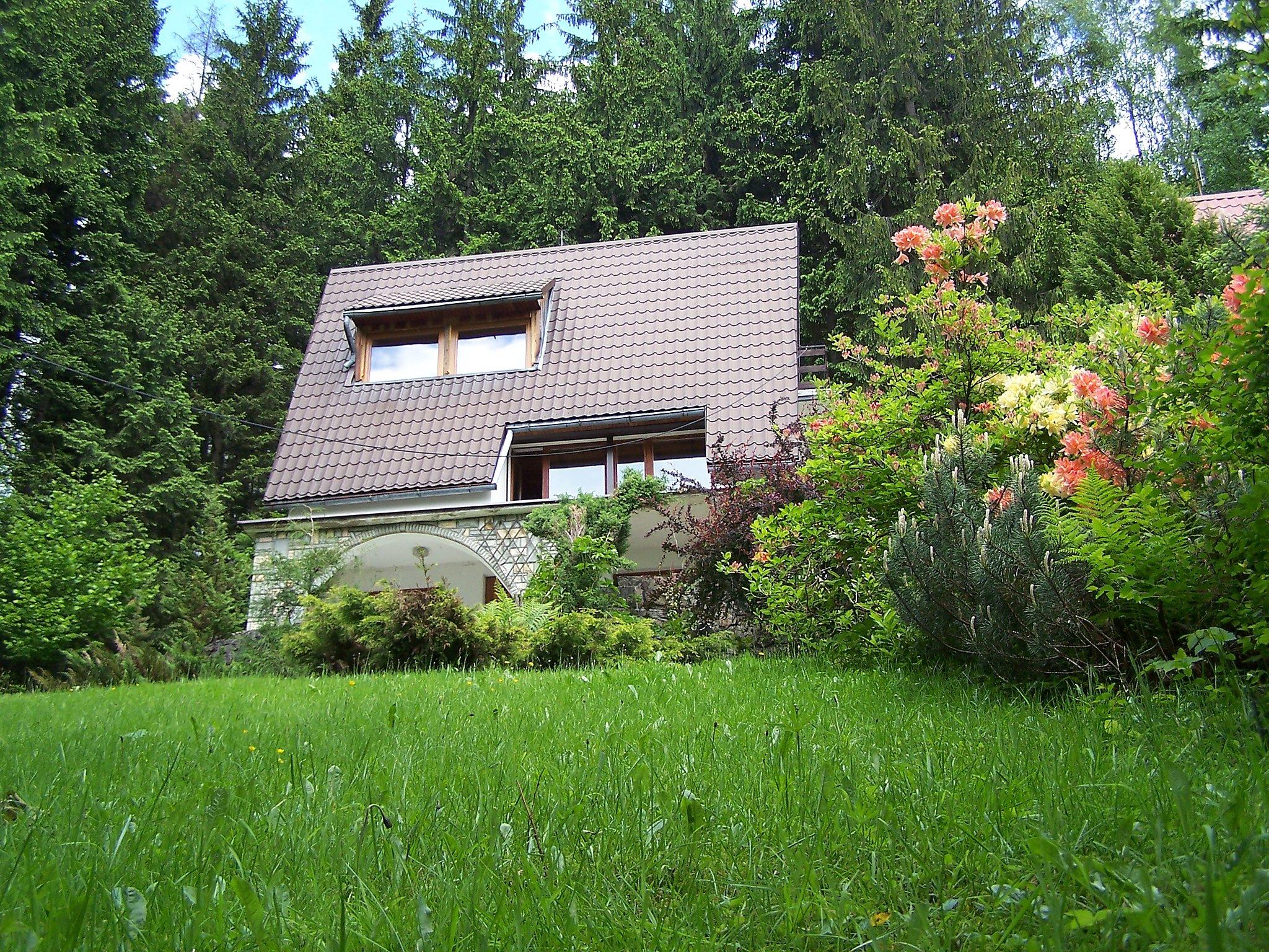 Foto 18 - Haus mit 3 Schlafzimmern in Wisła mit terrasse und blick auf die berge