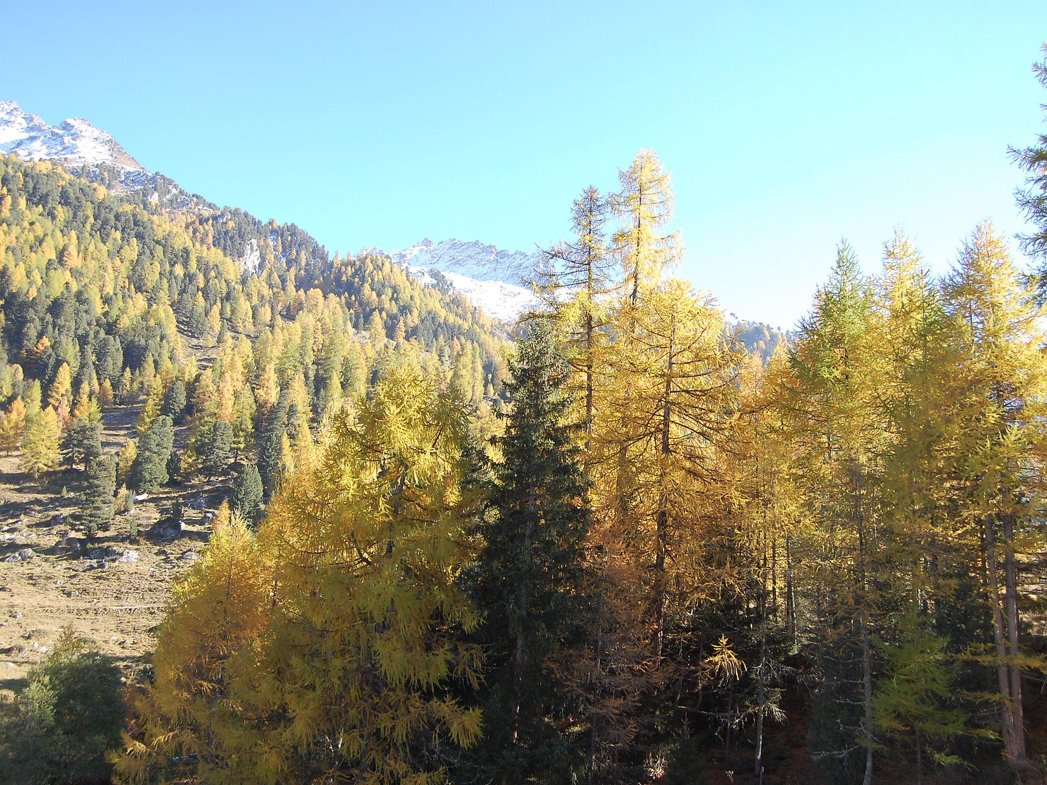 Foto 17 - Appartamento con 1 camera da letto a Nendaz con giardino e vista sulle montagne