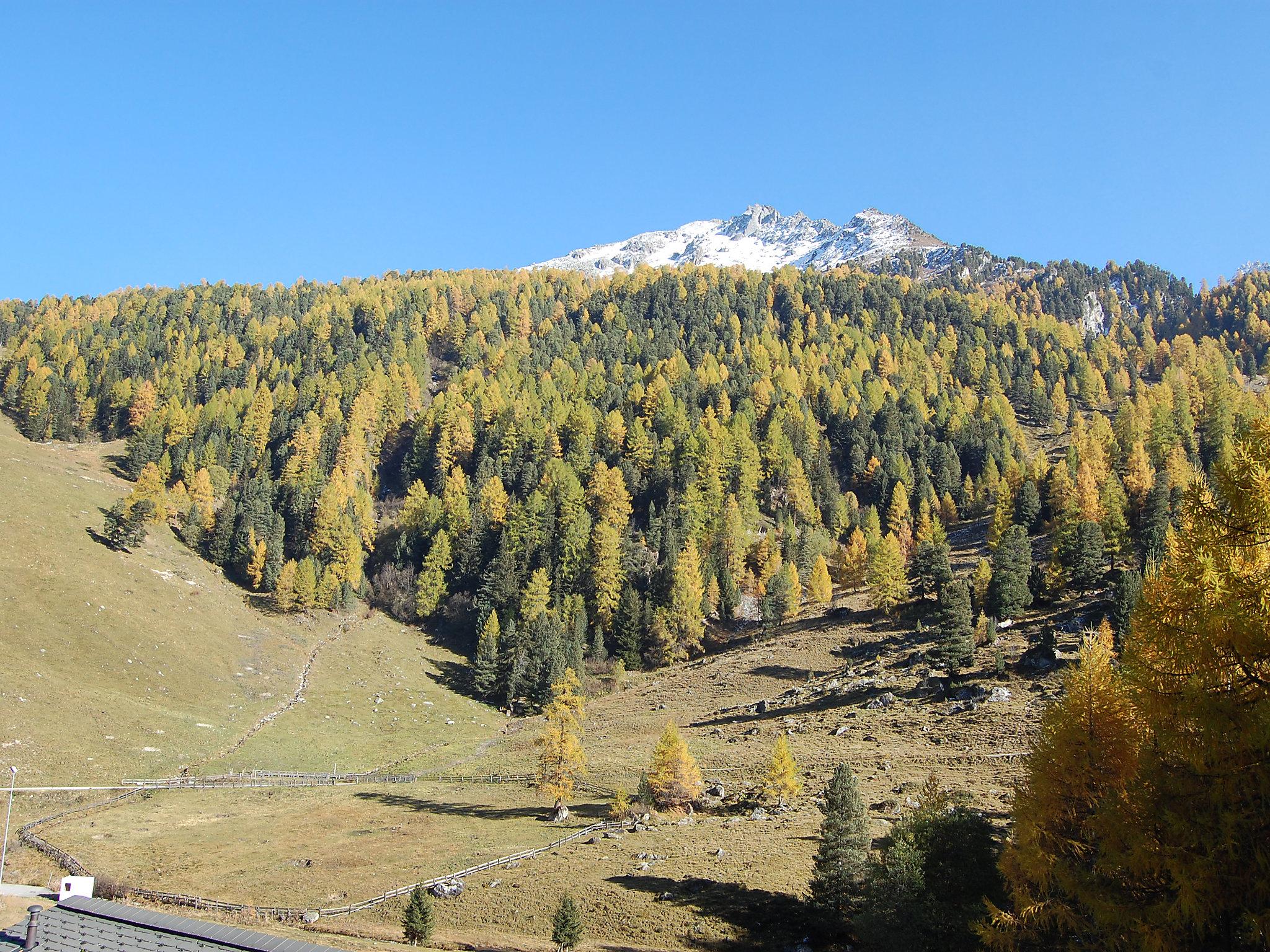 Photo 16 - 1 bedroom Apartment in Nendaz with garden and mountain view