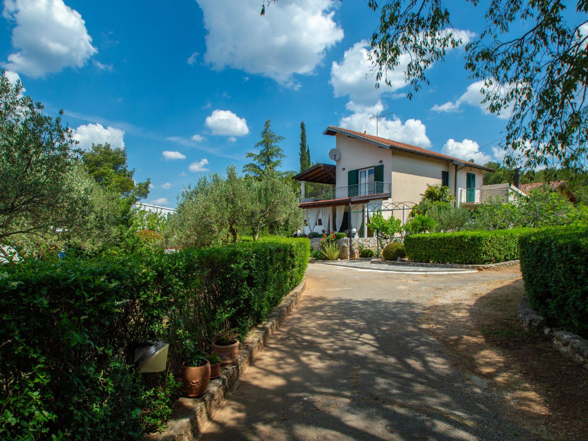 Foto 30 - Casa con 3 camere da letto a Sebenico con piscina privata e giardino